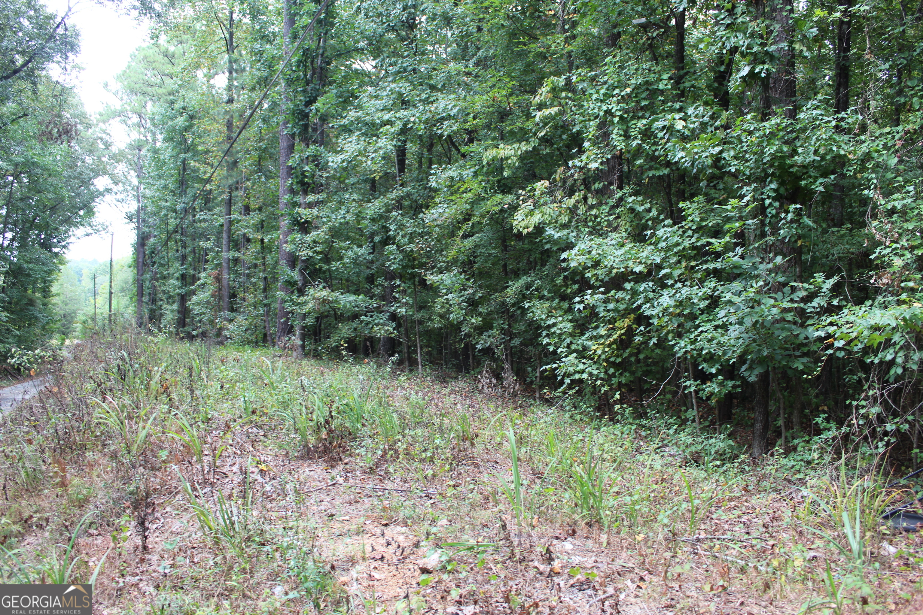 425 N Deshong Road Property Photo 4