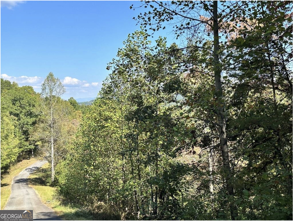 Lot 3 Ruby Ridge Property Photo 1