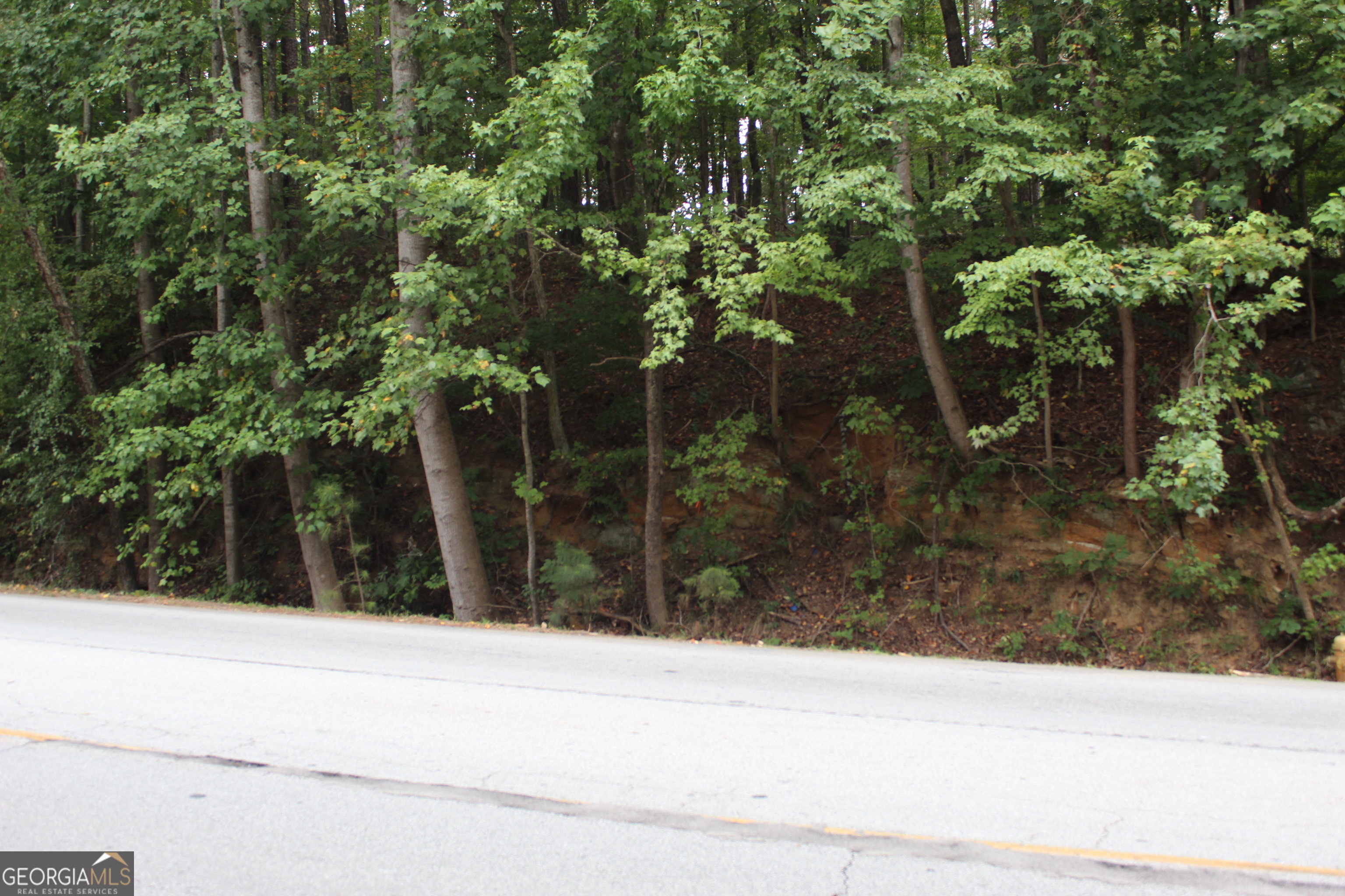 441 N Deshong Road Property Photo 1