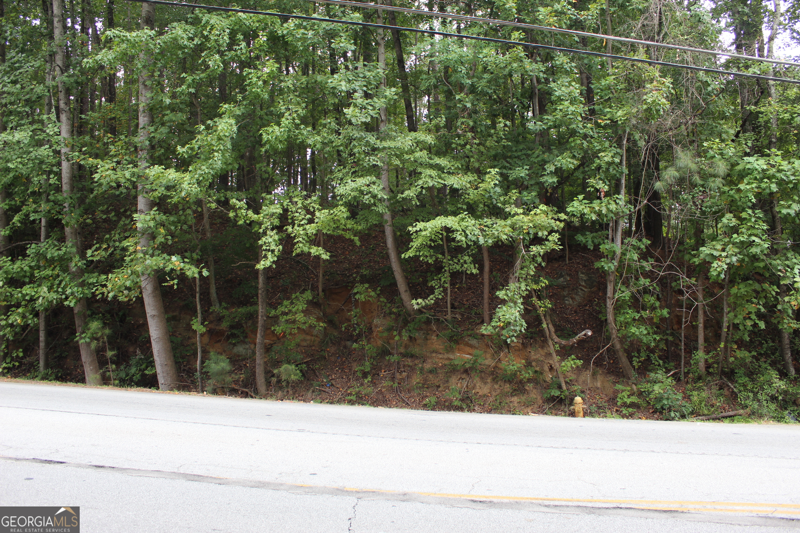 441 N Deshong Road Property Photo 2