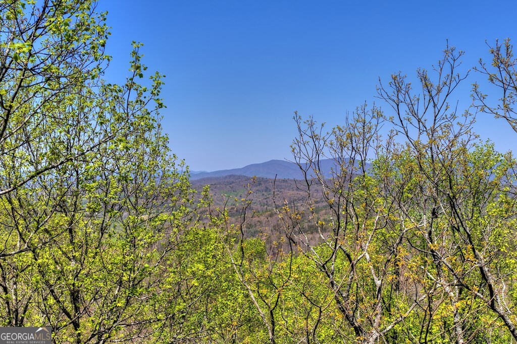 1073 Old Burnt Mountain Road Property Photo 3