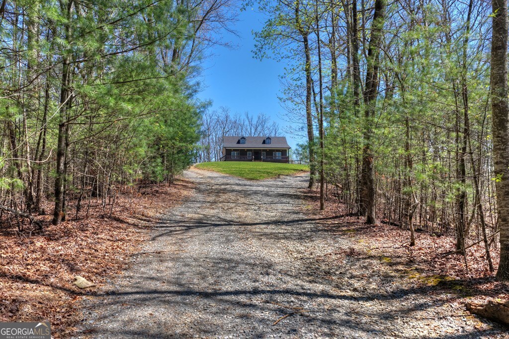 1073 Old Burnt Mountain Road Property Photo 4