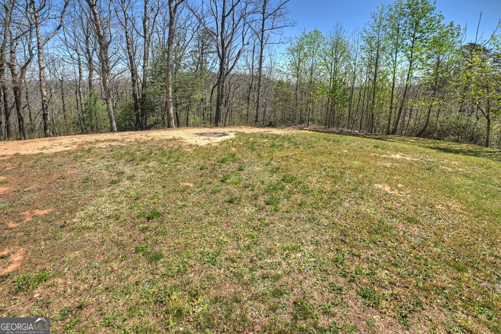 1073 Old Burnt Mountain Road Property Photo 10