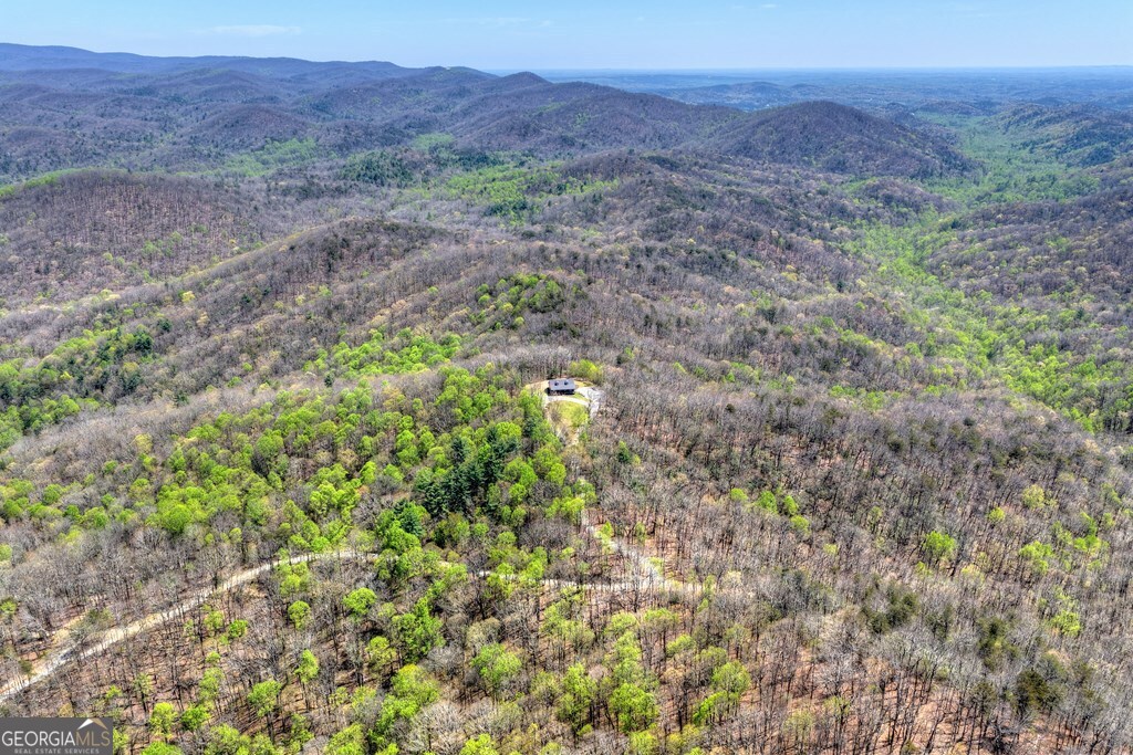 1073 Old Burnt Mountain Road Property Photo 43