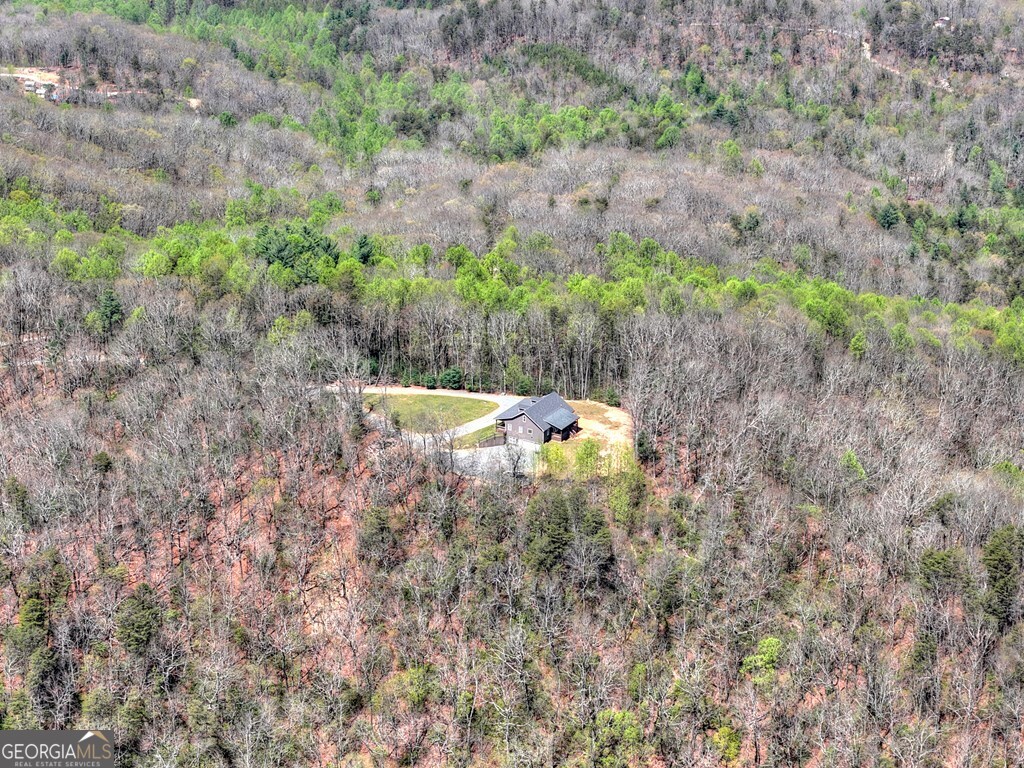 1073 Old Burnt Mountain Road Property Photo 44