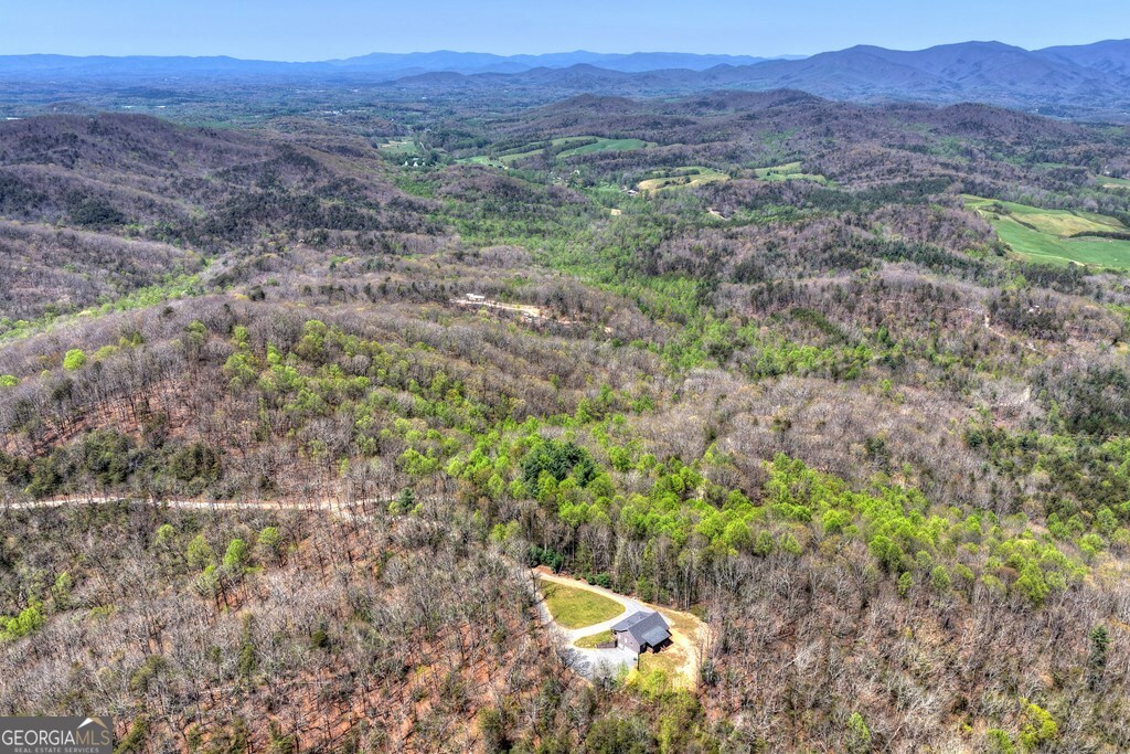 1073 Old Burnt Mountain Road Property Photo 45