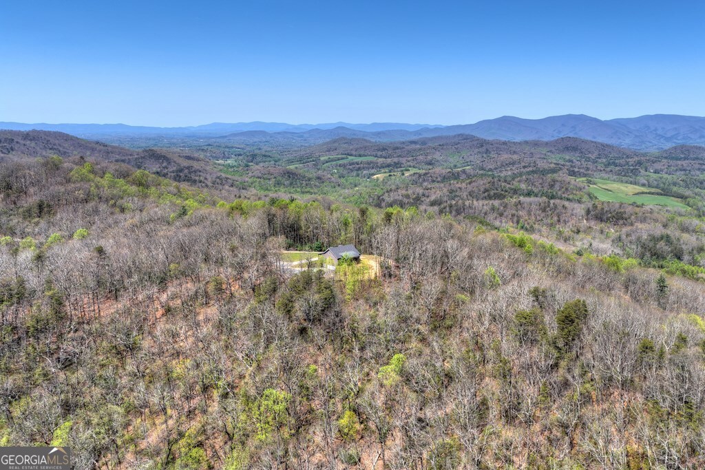 1073 Old Burnt Mountain Road Property Photo 46