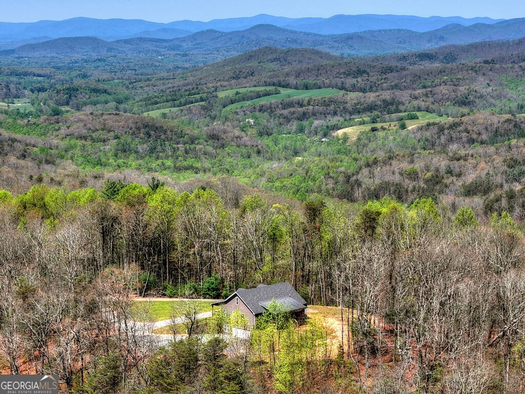 1073 Old Burnt Mountain Road Property Photo 47