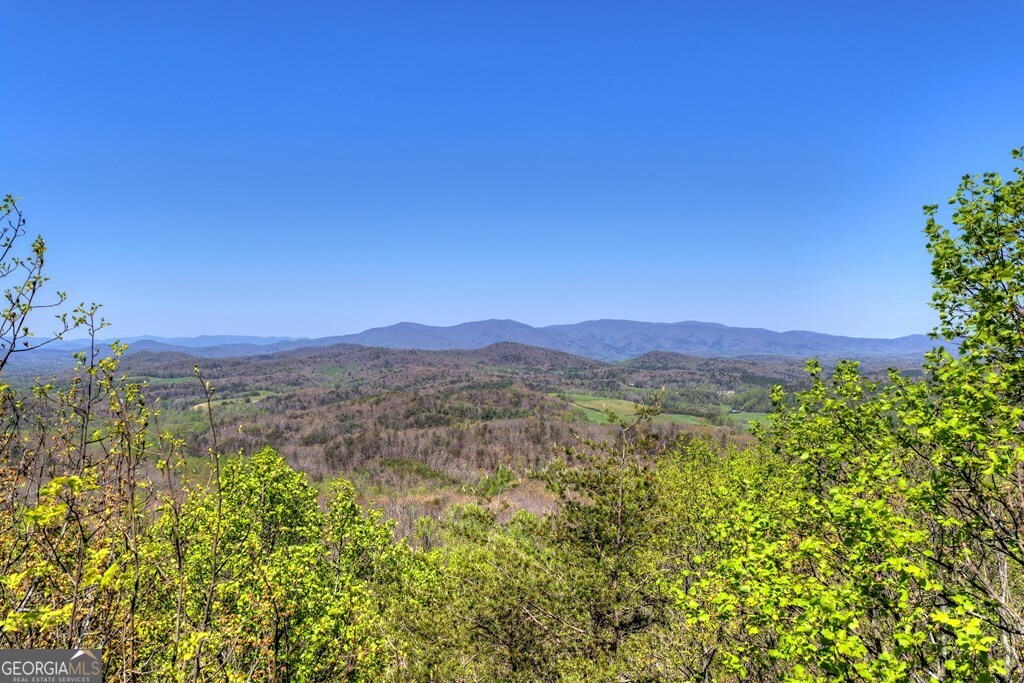 1073 Old Burnt Mountain Road Property Photo 48