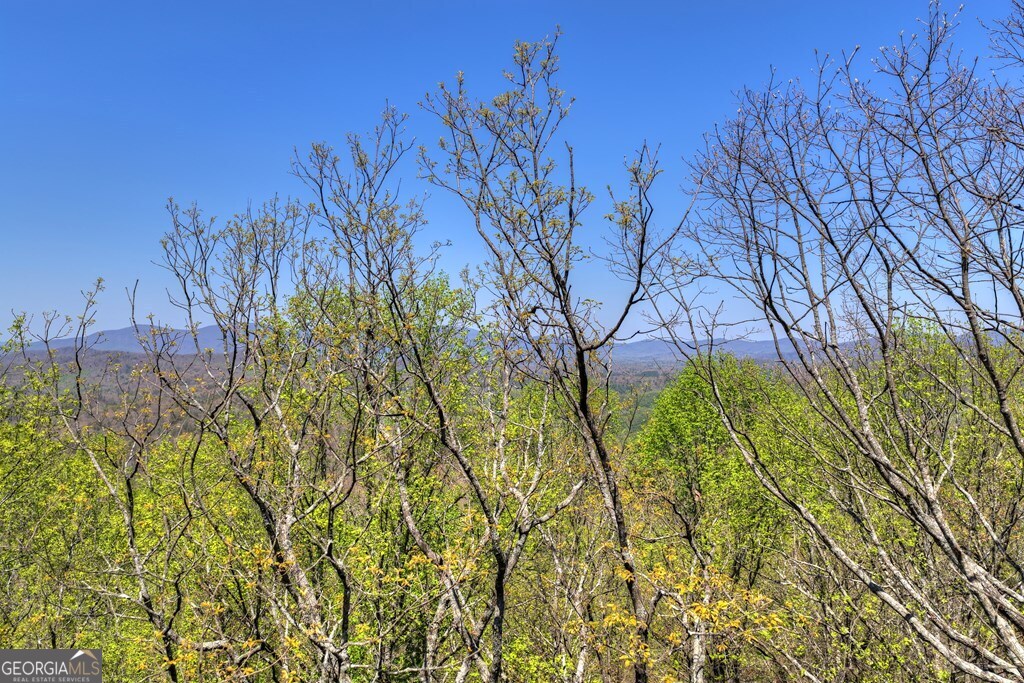 1073 Old Burnt Mountain Road Property Photo 49