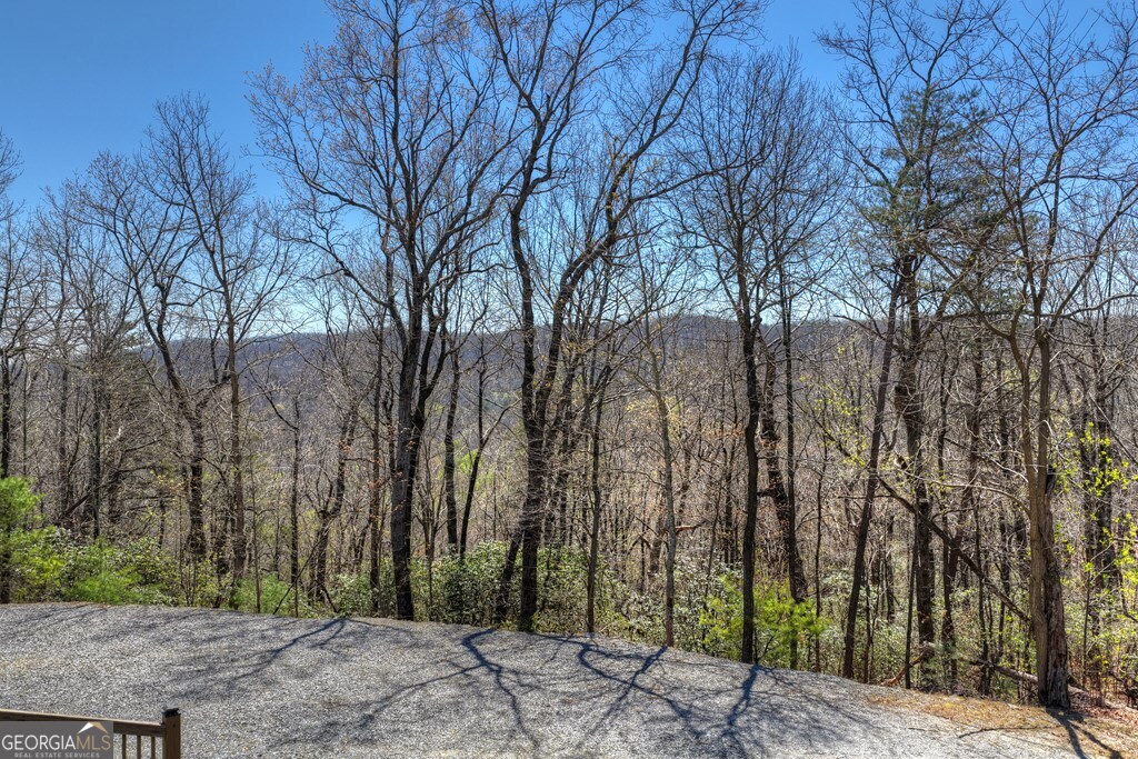 1073 Old Burnt Mountain Road Property Photo 50