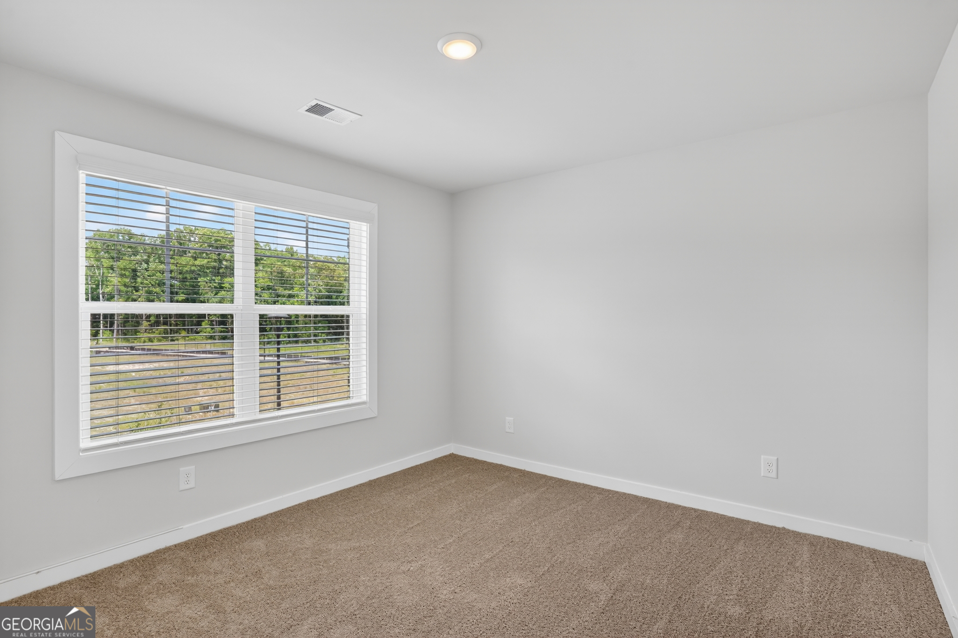 222 Villa Rica Springs - Lot 14 Property Photo 39