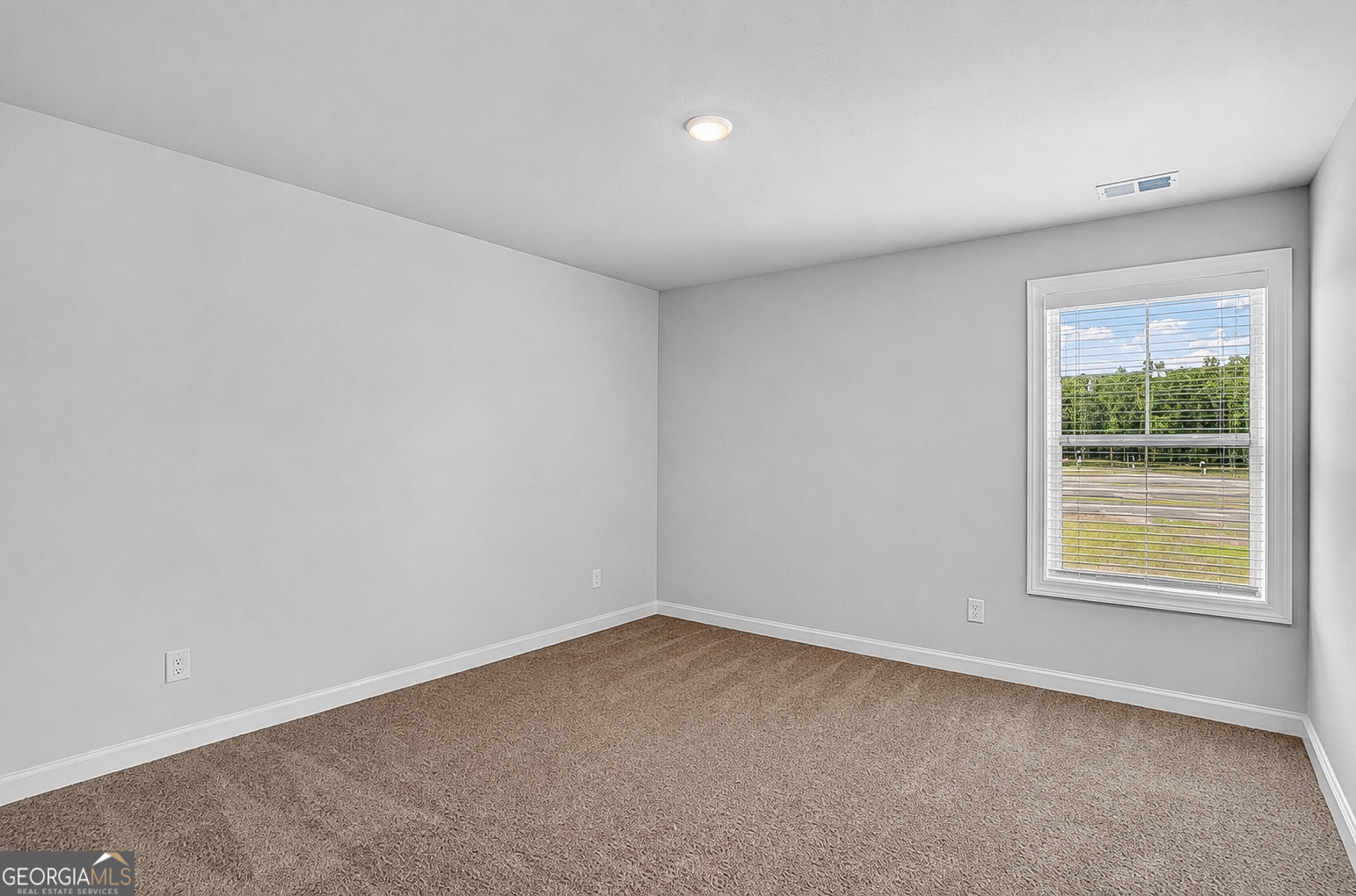 222 Villa Rica Springs - Lot 14 Property Photo 44