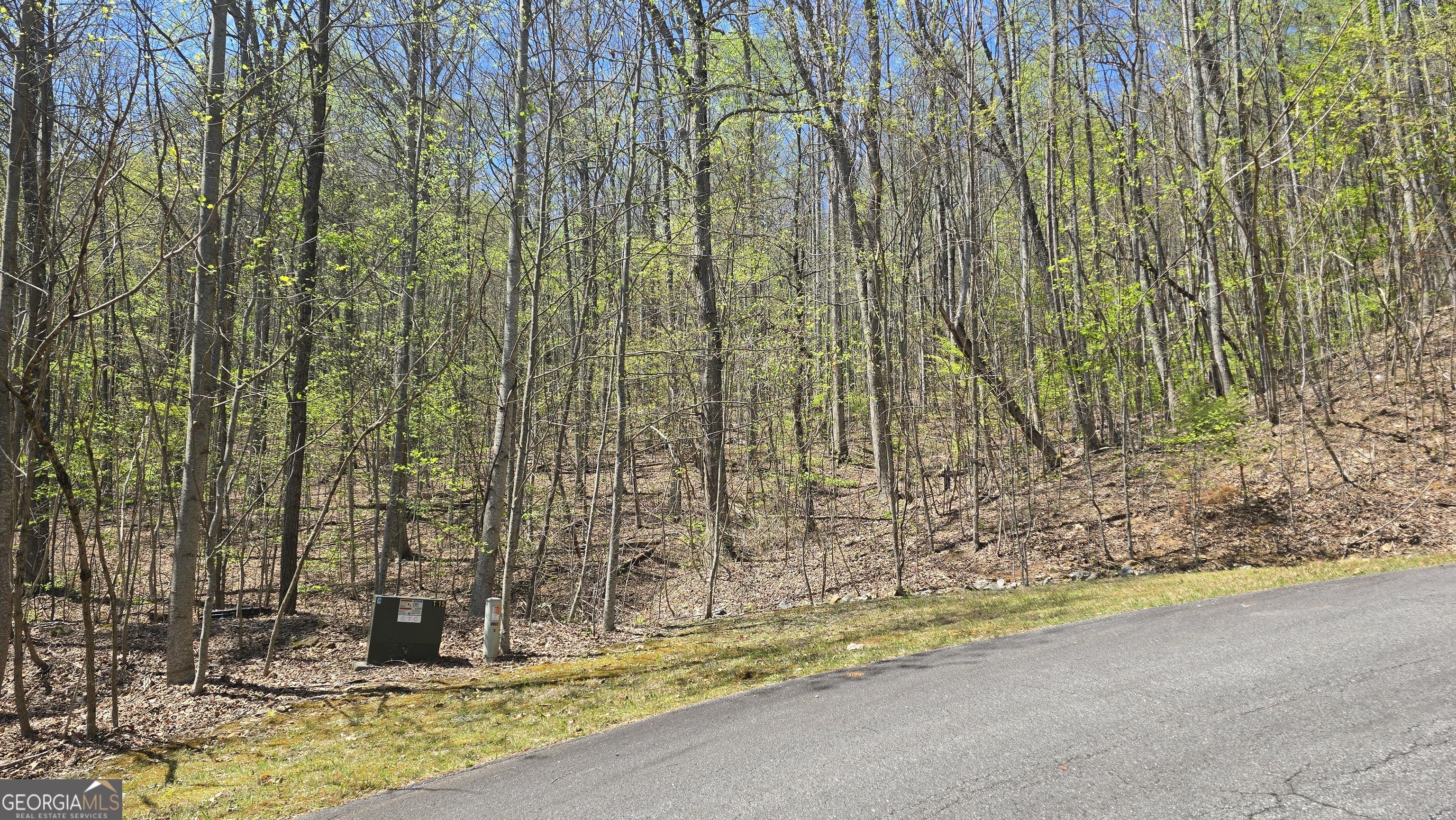 Lot 18 Overlook Loop Property Photo 1