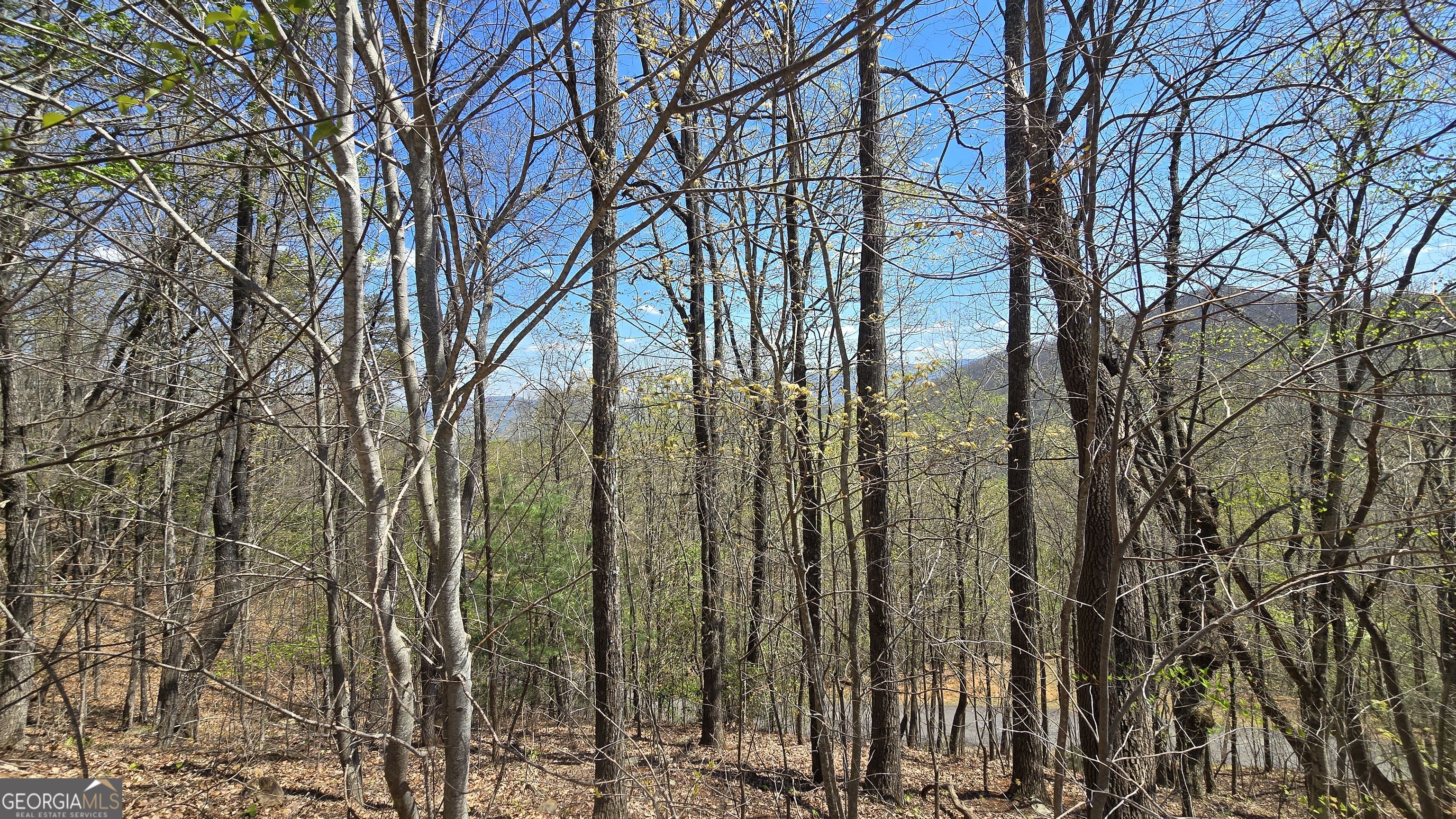 Lot 18 Overlook Loop Property Photo 3