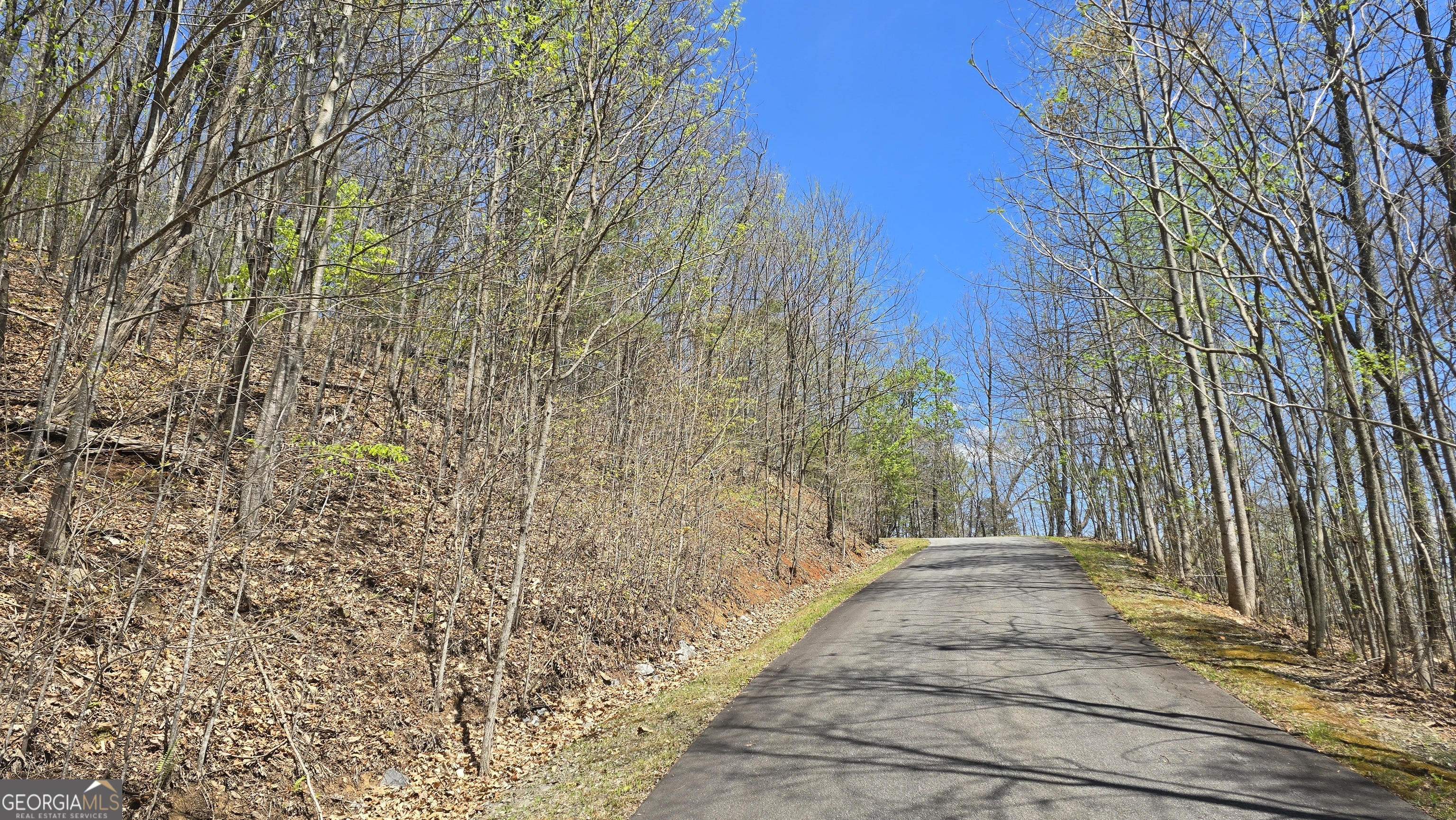 Lot 18 Overlook Loop Property Photo 5