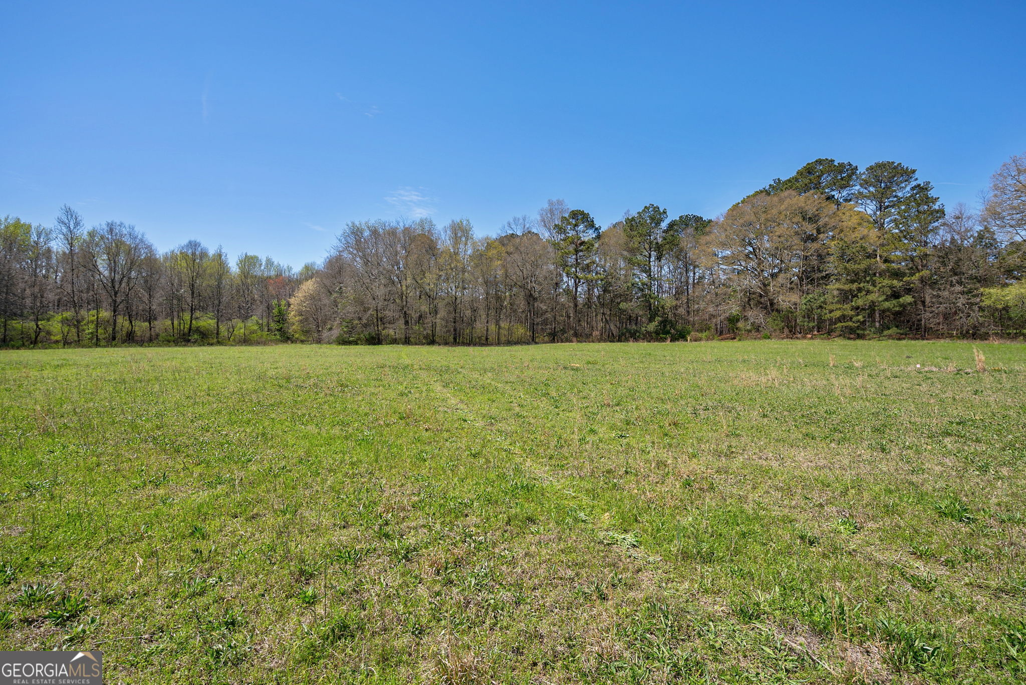 0 Poplar Street Property Photo 2