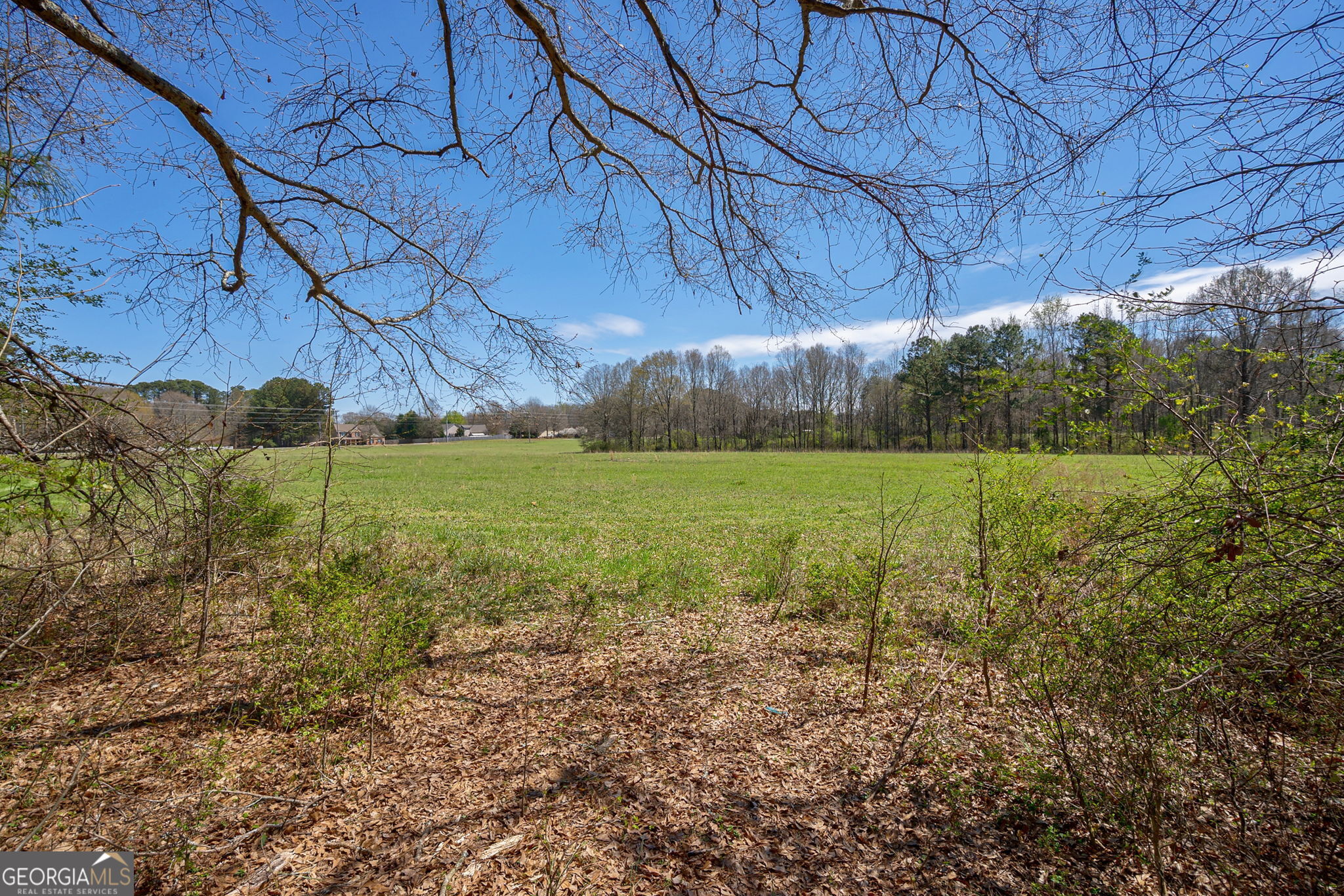 0 Poplar Street Property Photo 3