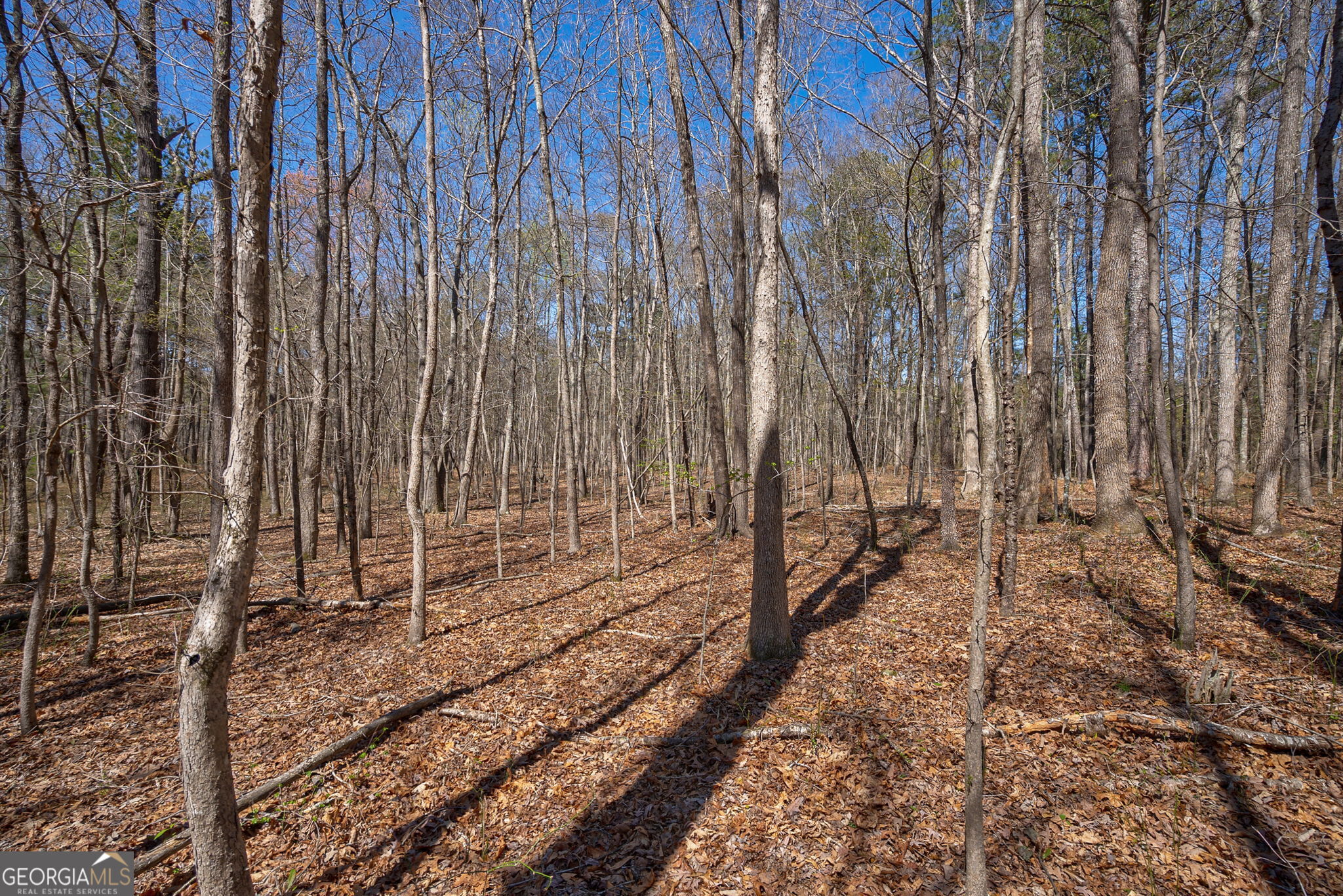 0 Poplar Street Property Photo 15
