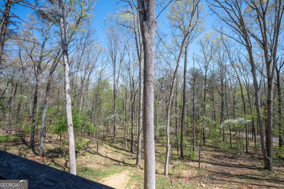 1038 Bluebird Road Property Photo 39