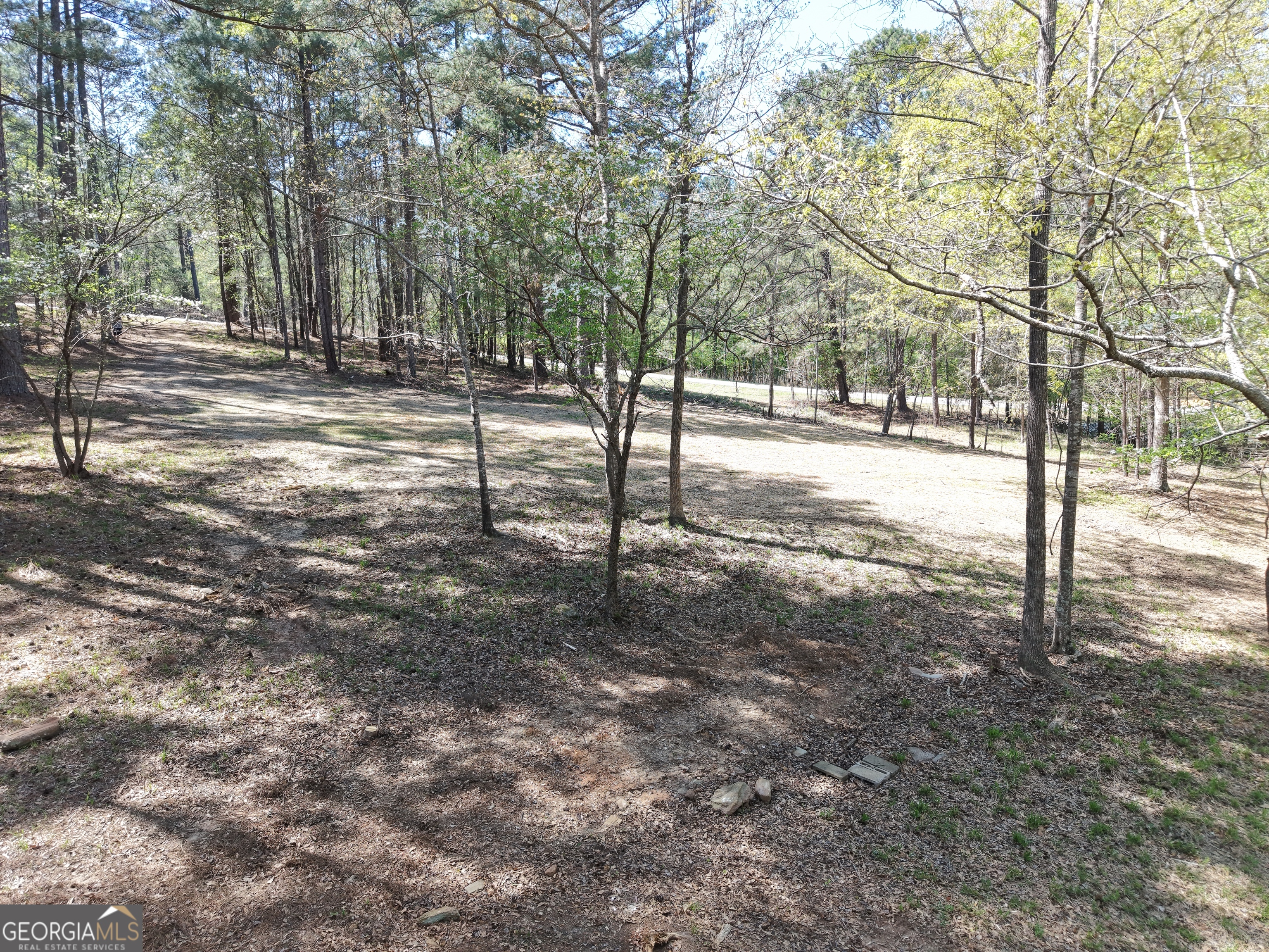 536 Rockville Springs Drive Property Photo 1