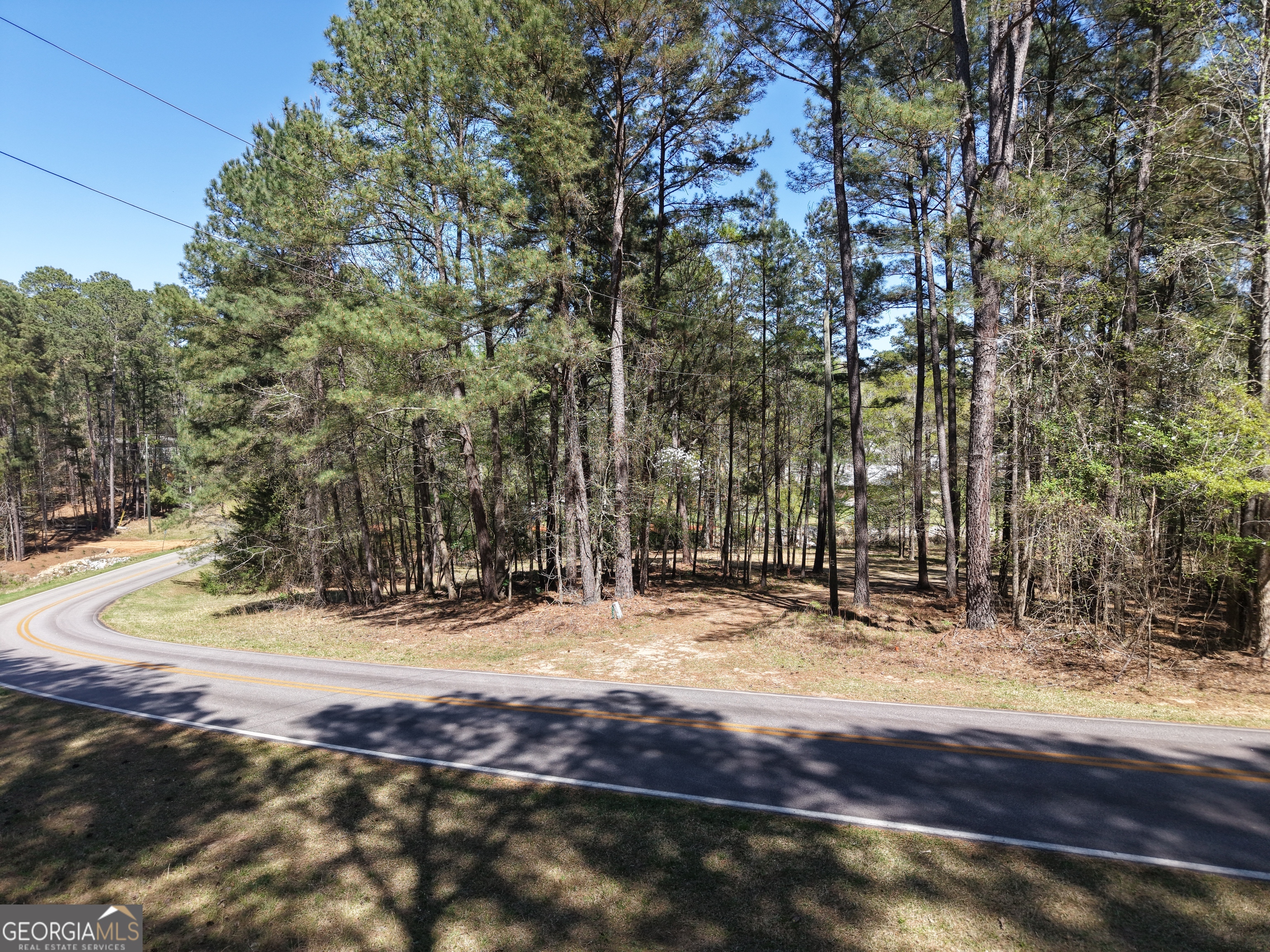 536 Rockville Springs Drive Property Photo 2
