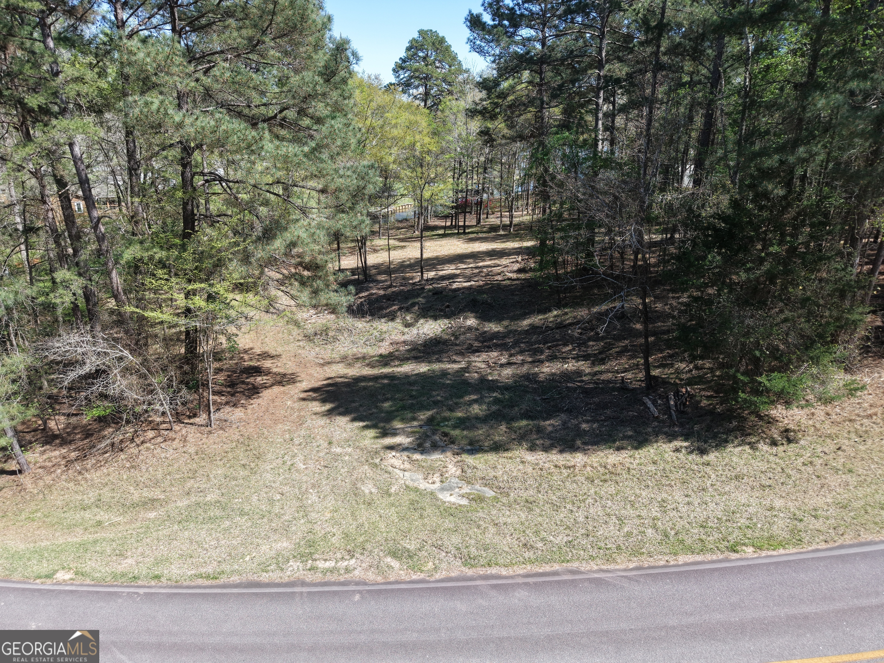 536 Rockville Springs Drive Property Photo 3