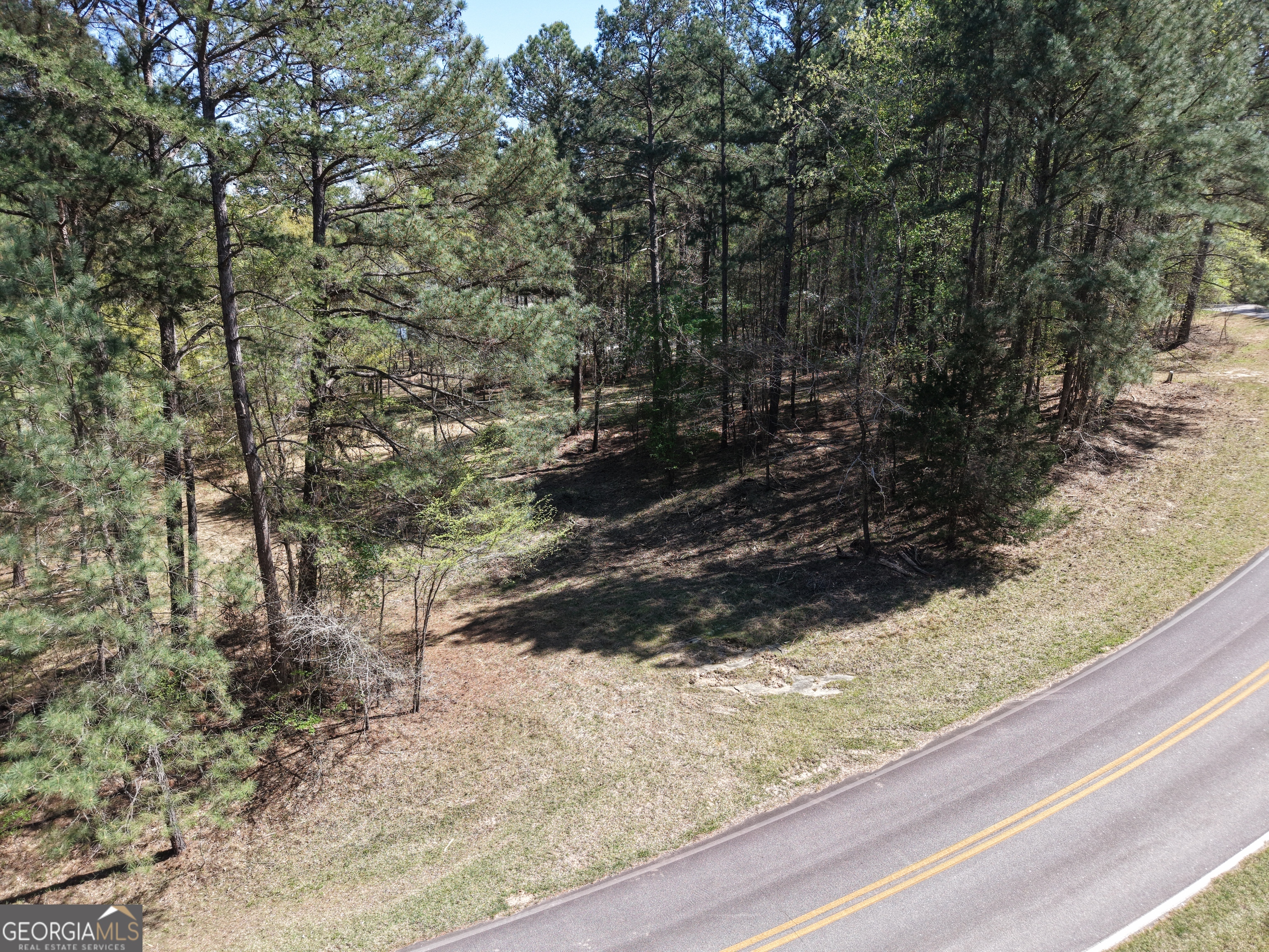 536 Rockville Springs Drive Property Photo 4
