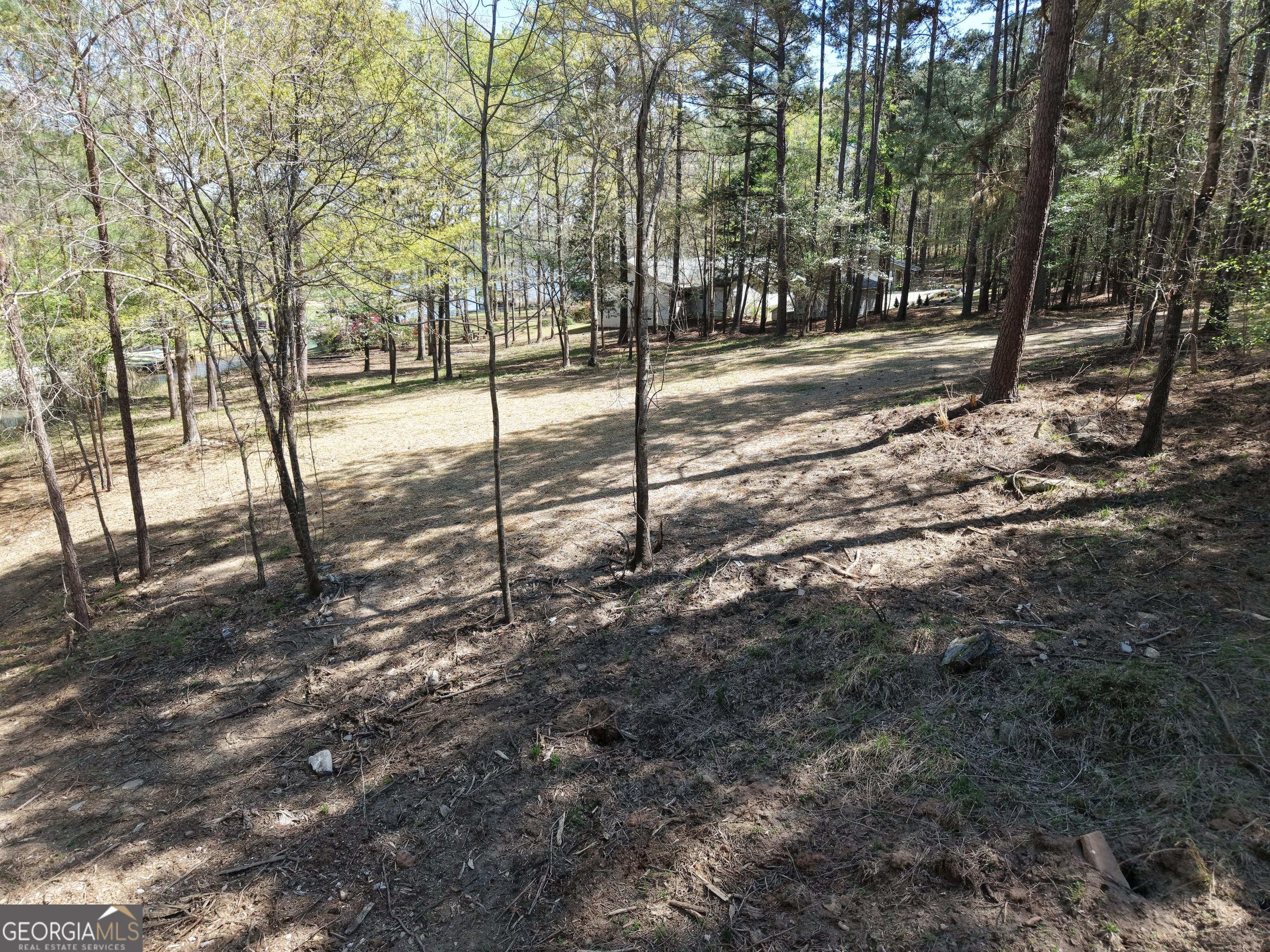 536 Rockville Springs Drive Property Photo 7