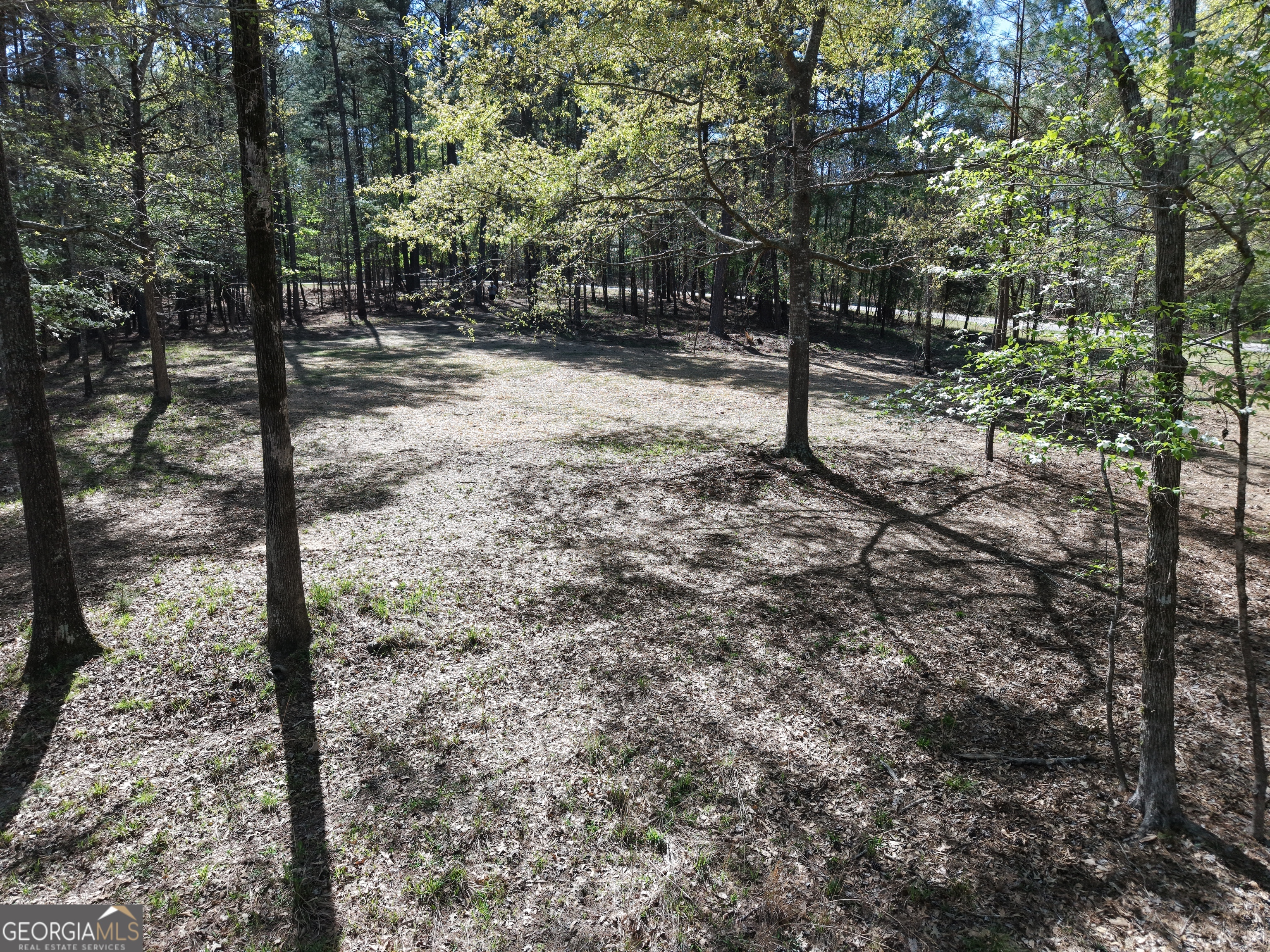 536 Rockville Springs Drive Property Photo 8