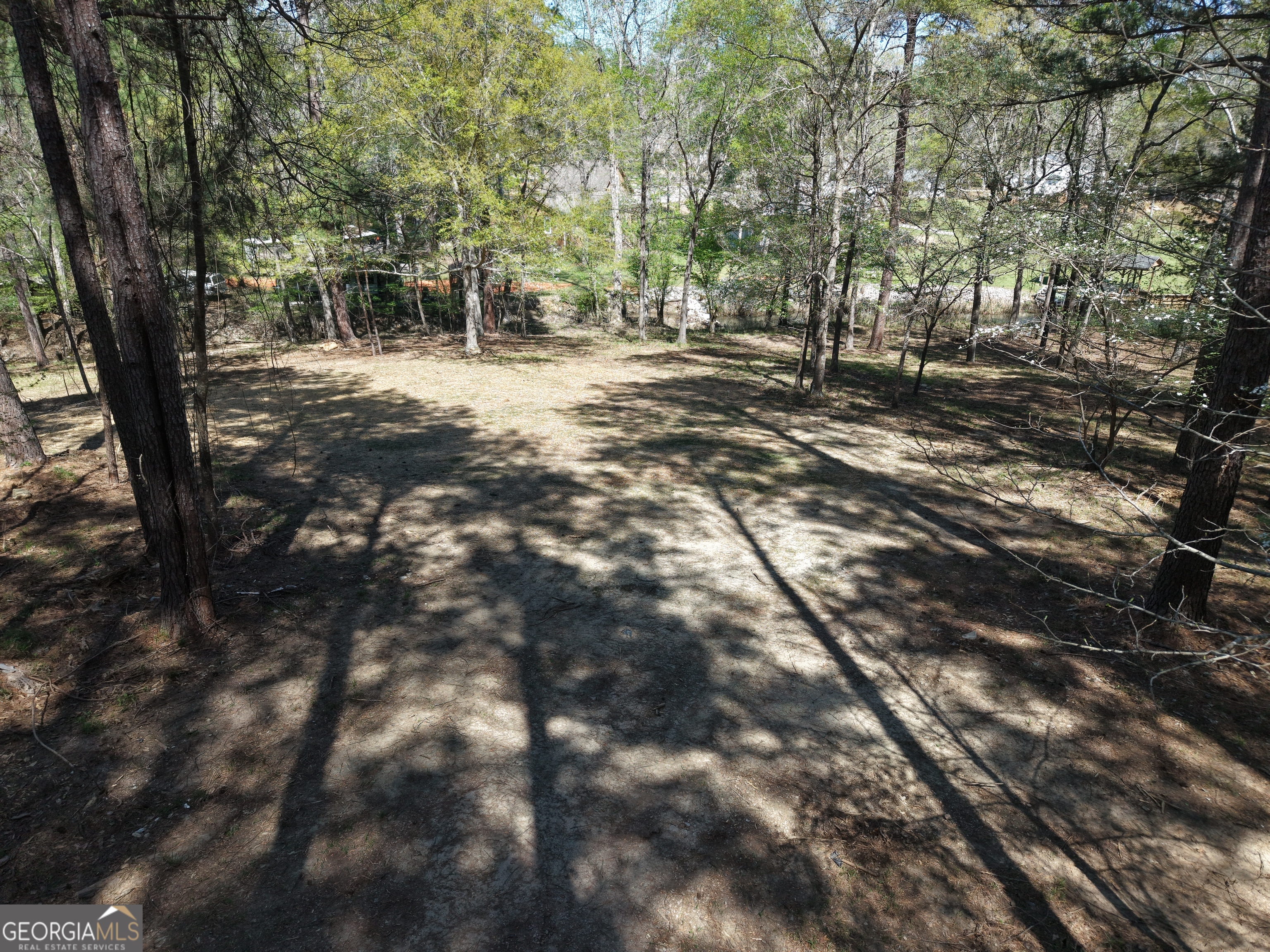 536 Rockville Springs Drive Property Photo 9