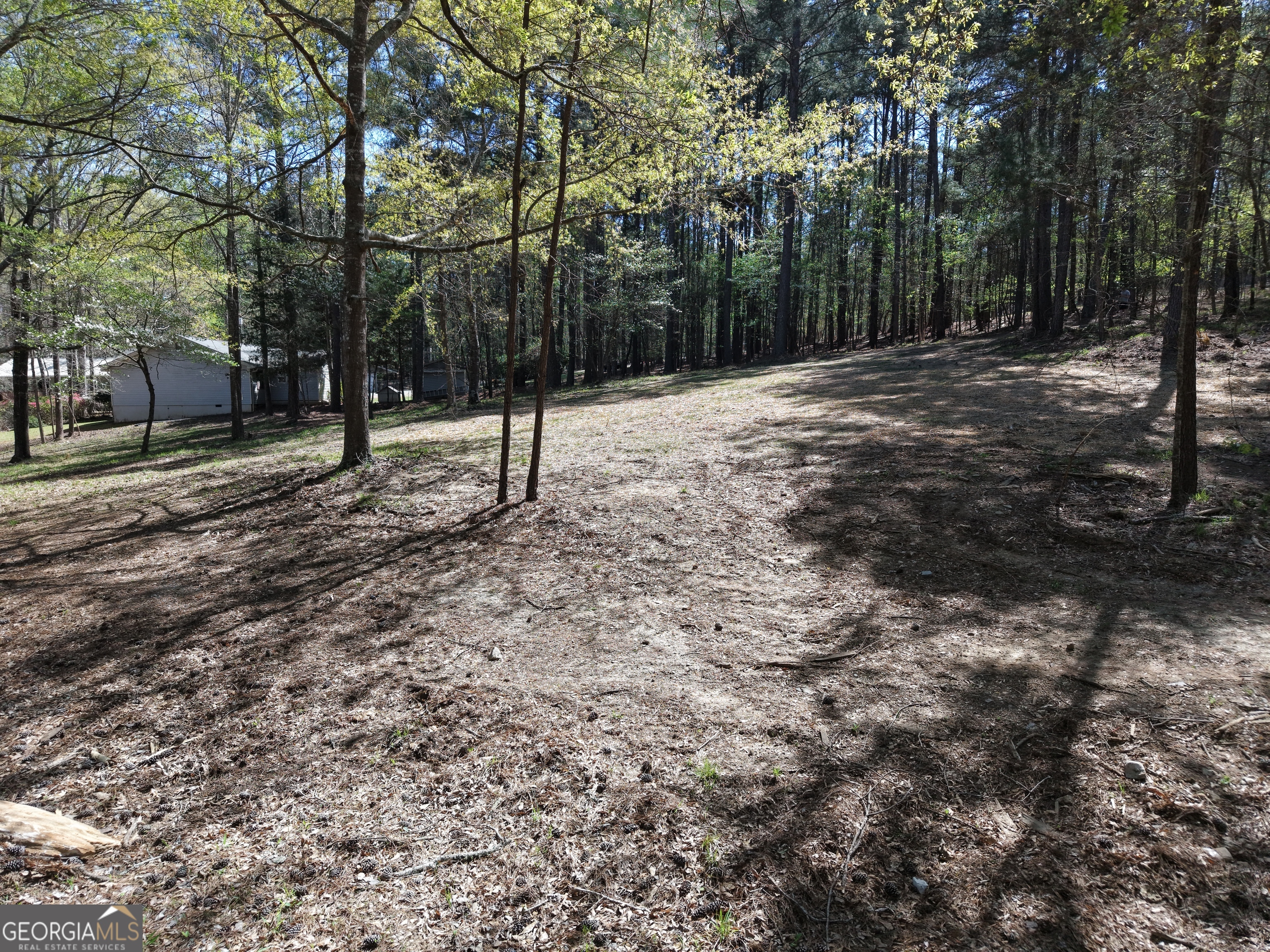 536 Rockville Springs Drive Property Photo 15