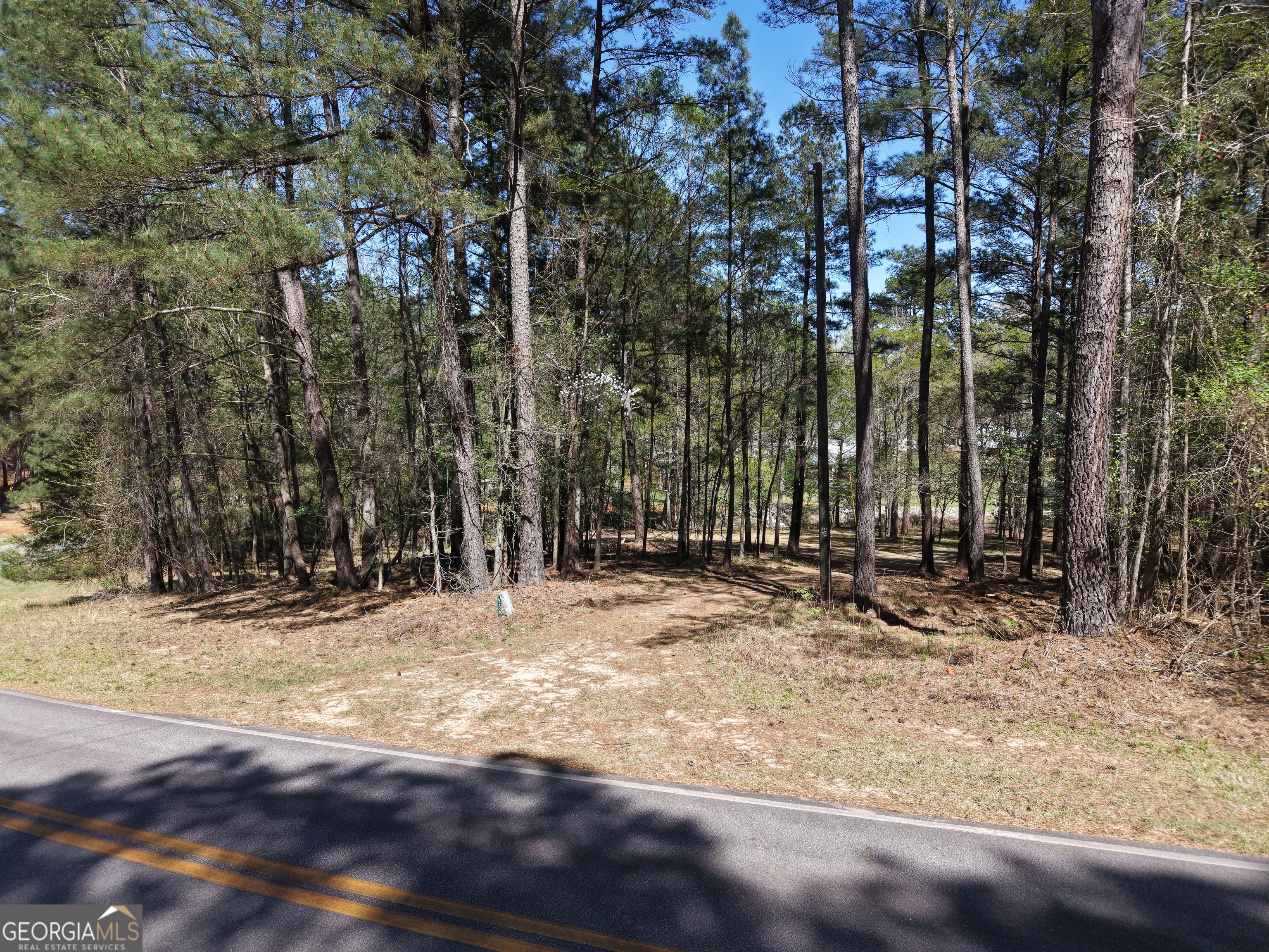 536 Rockville Springs Drive Property Photo 16