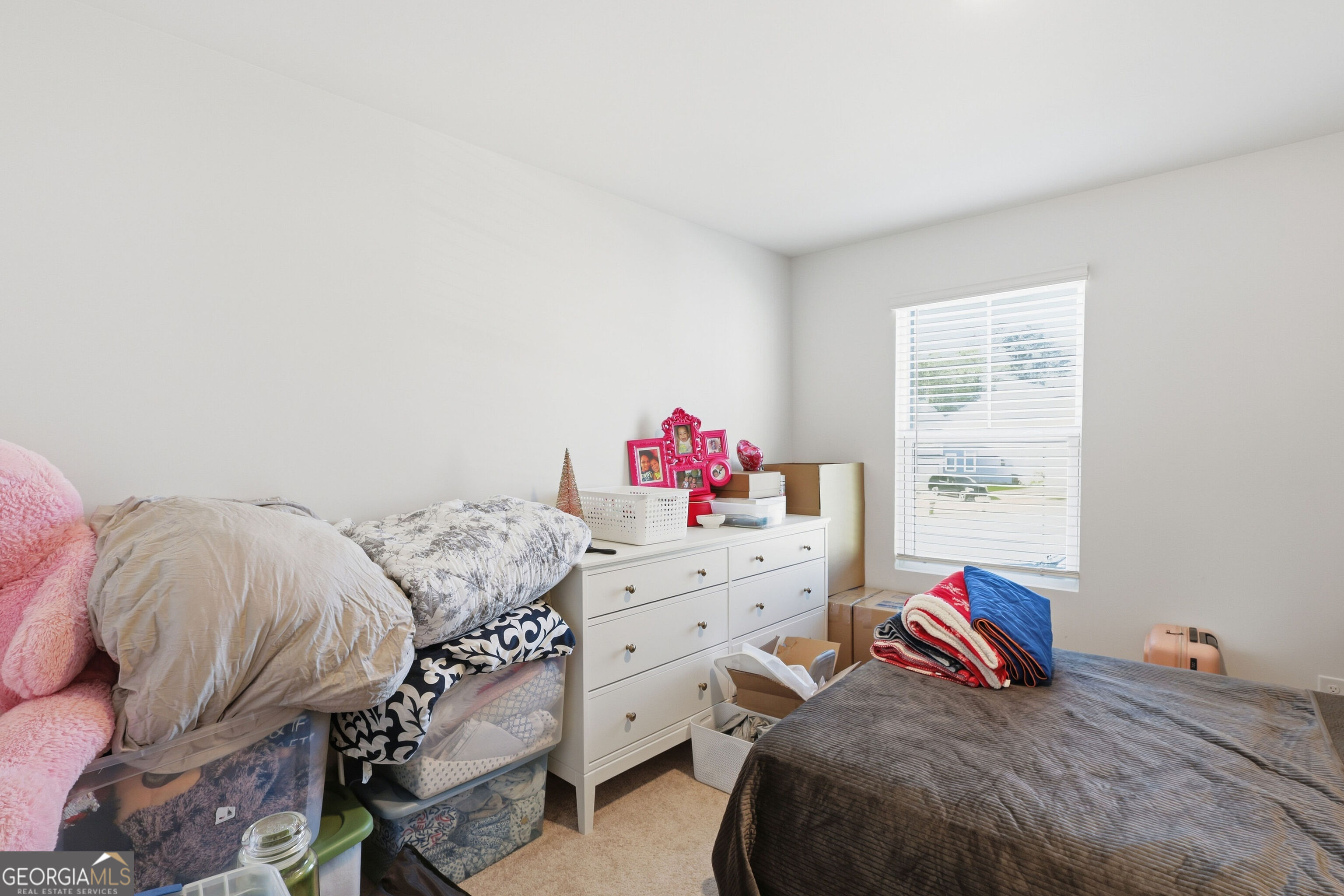 146 Congo Court Property Photo 16