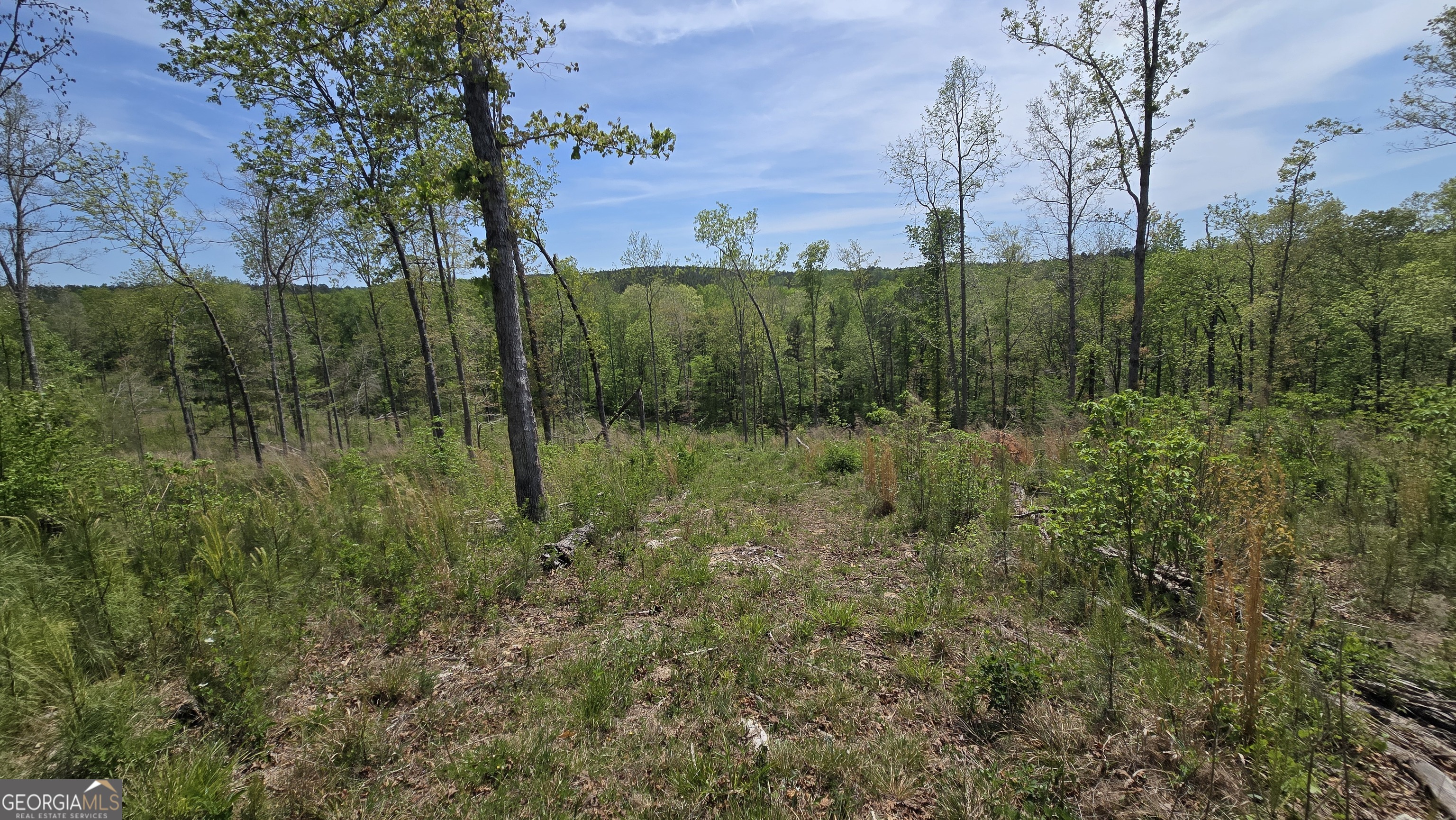 0 Sand Hill Road Property Photo 16