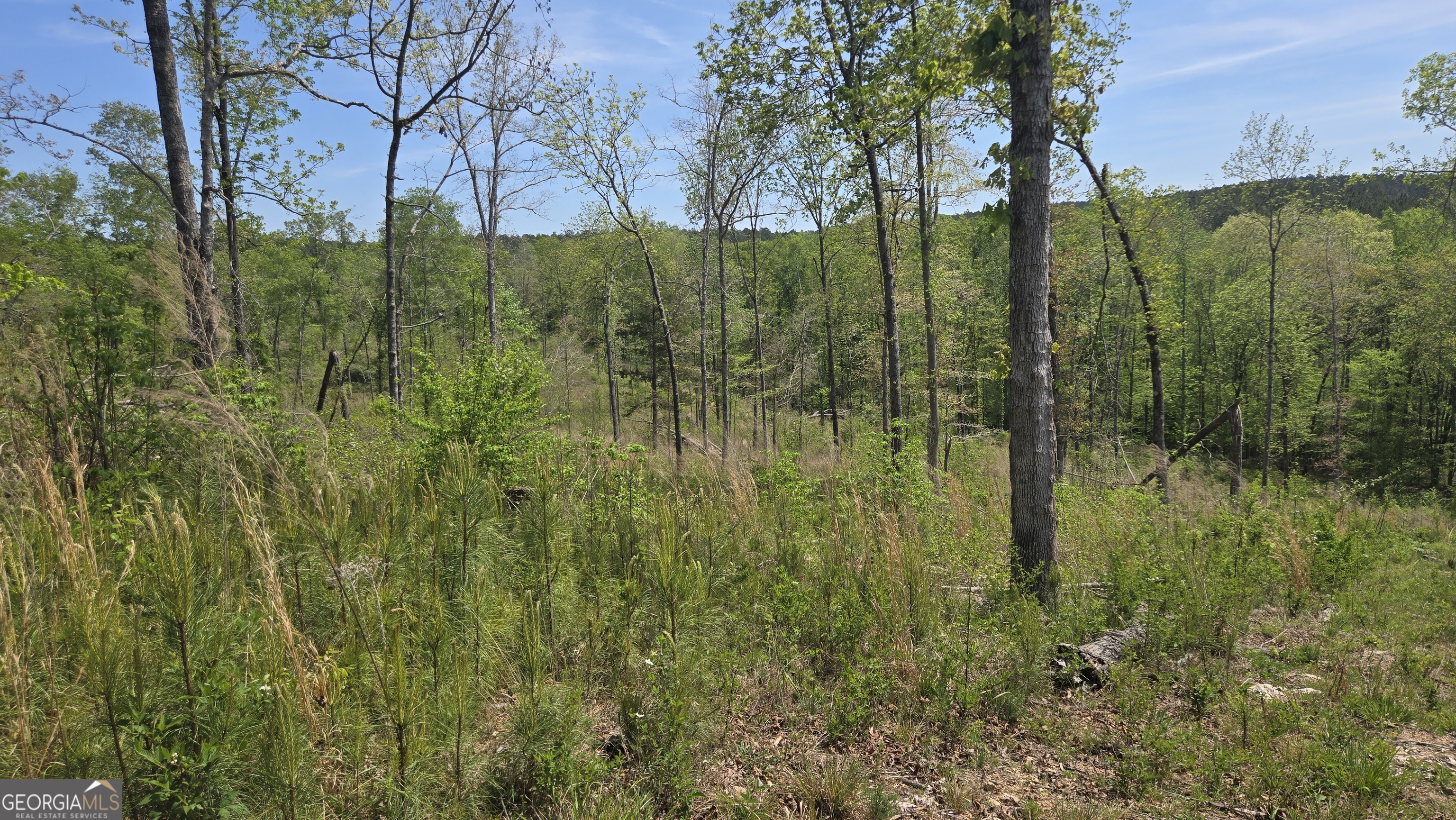 0 Sand Hill Road Property Photo 17