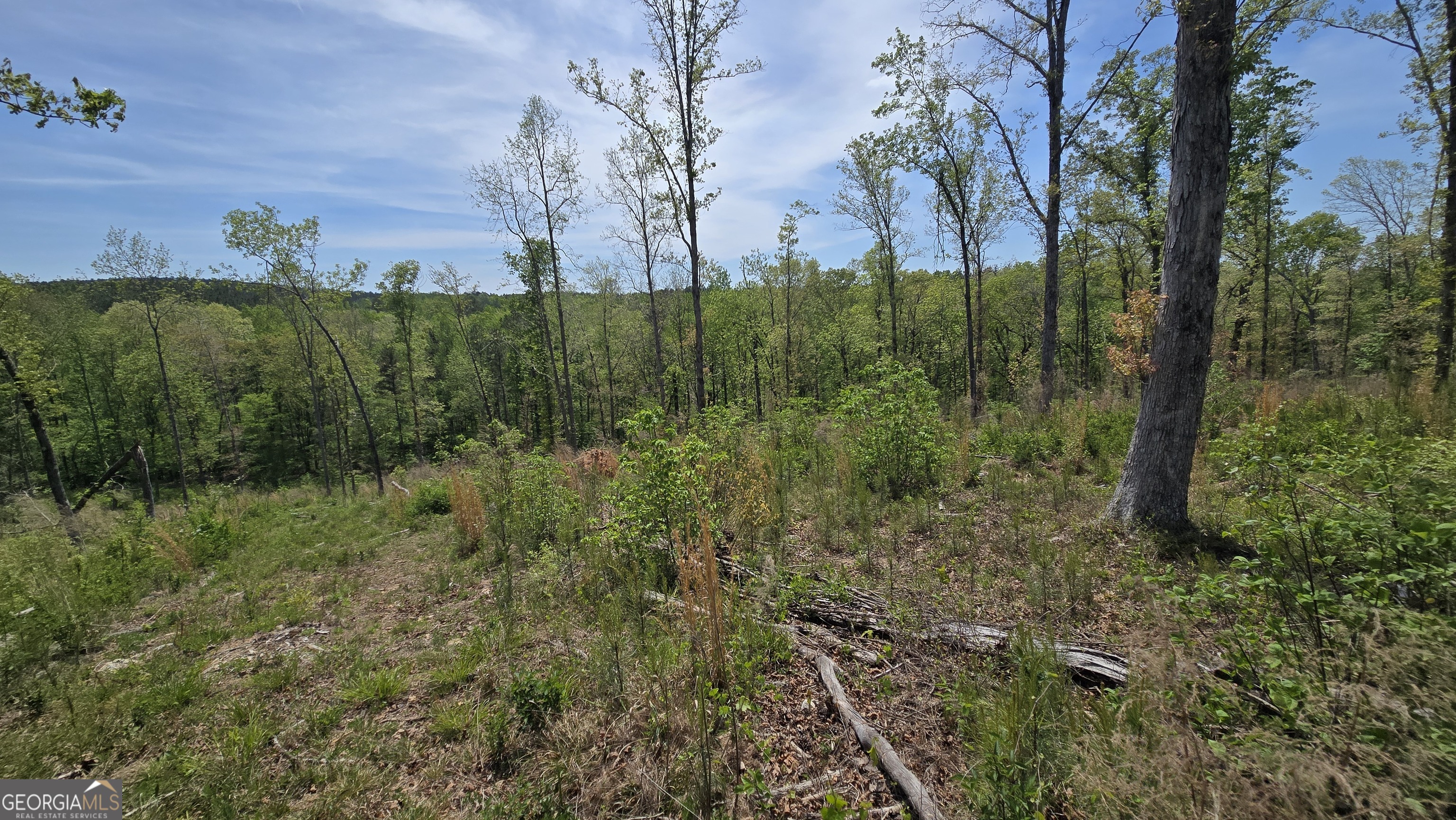 0 Sand Hill Road Property Photo 19