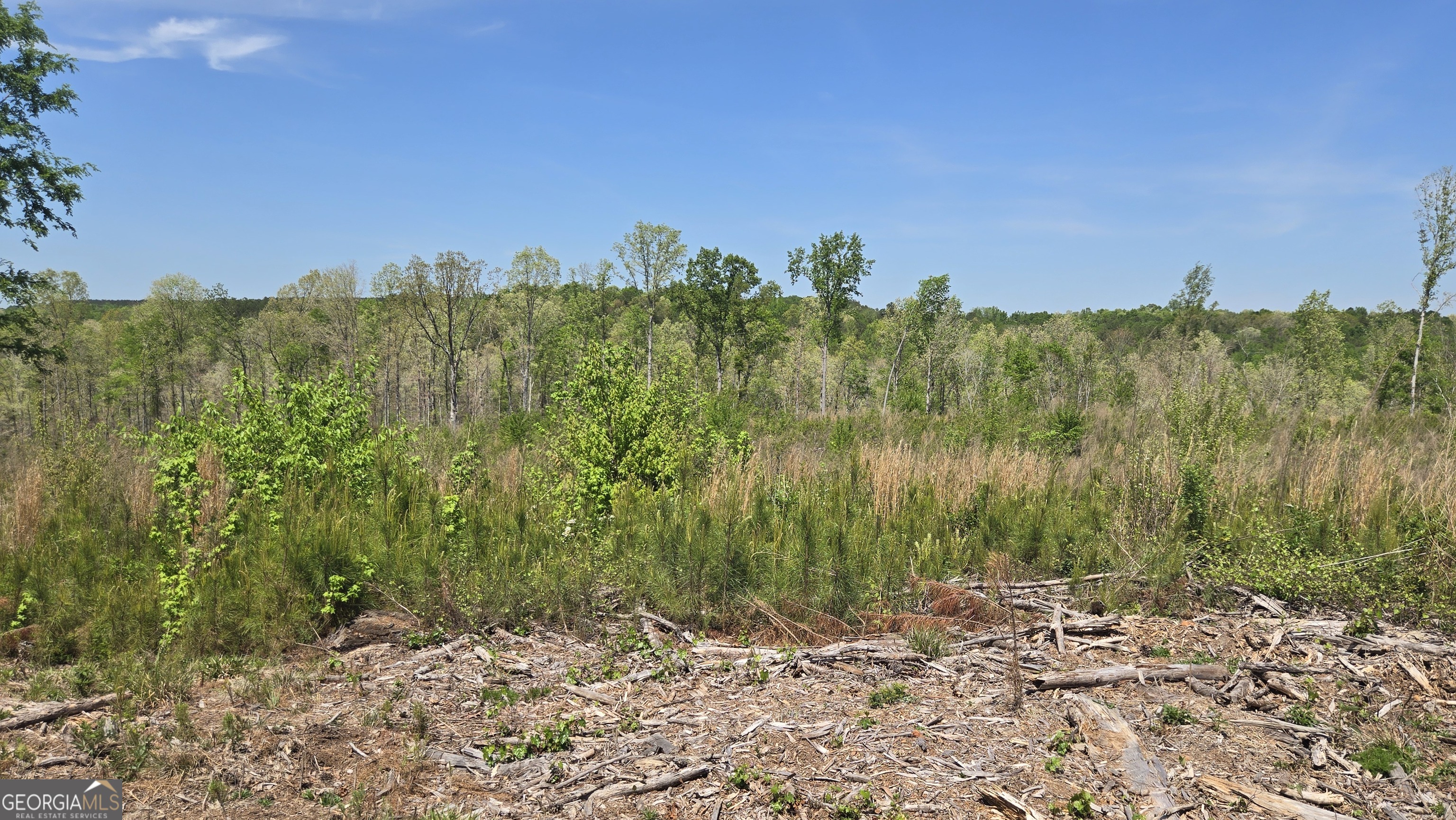 0 Sand Hill Road Property Photo 25