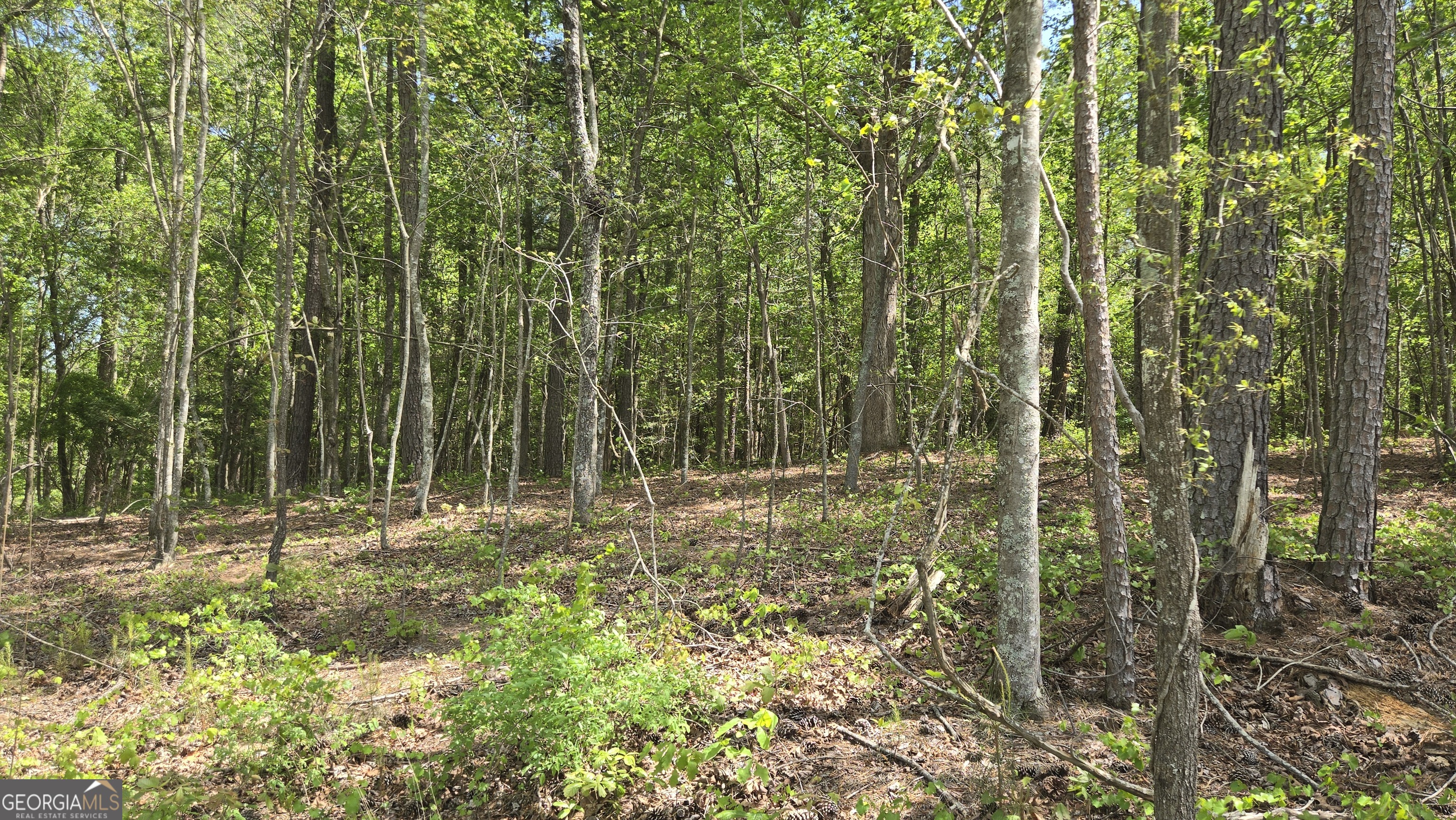 0 Sand Hill Road Property Photo 26