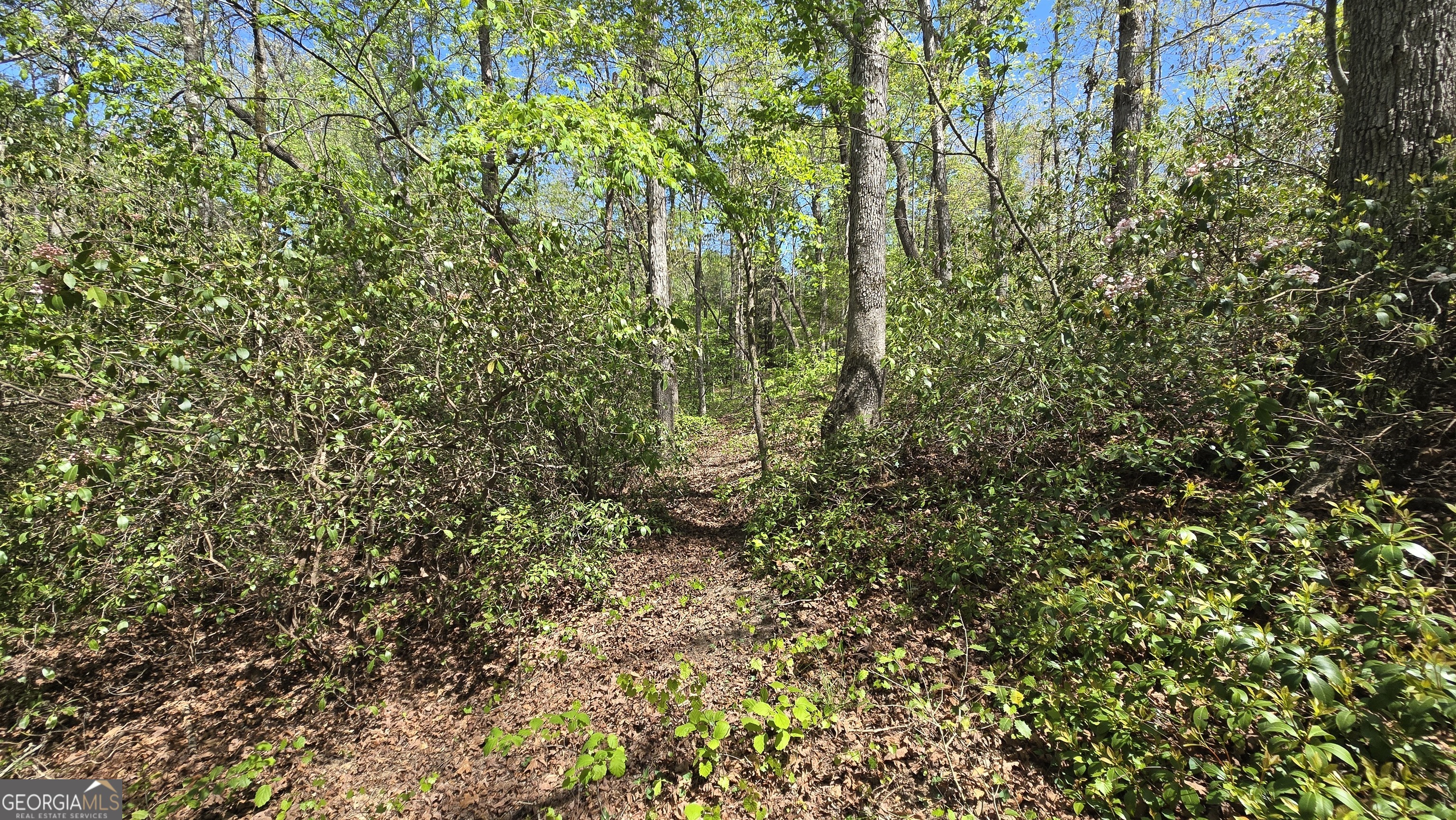 0 Sand Hill Road Property Photo 31
