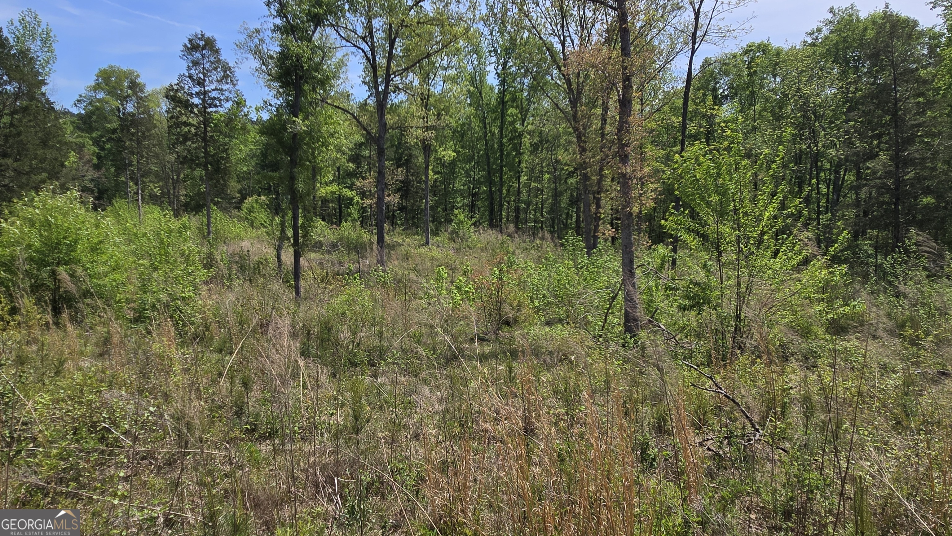 0 Sand Hill Road Property Photo 35