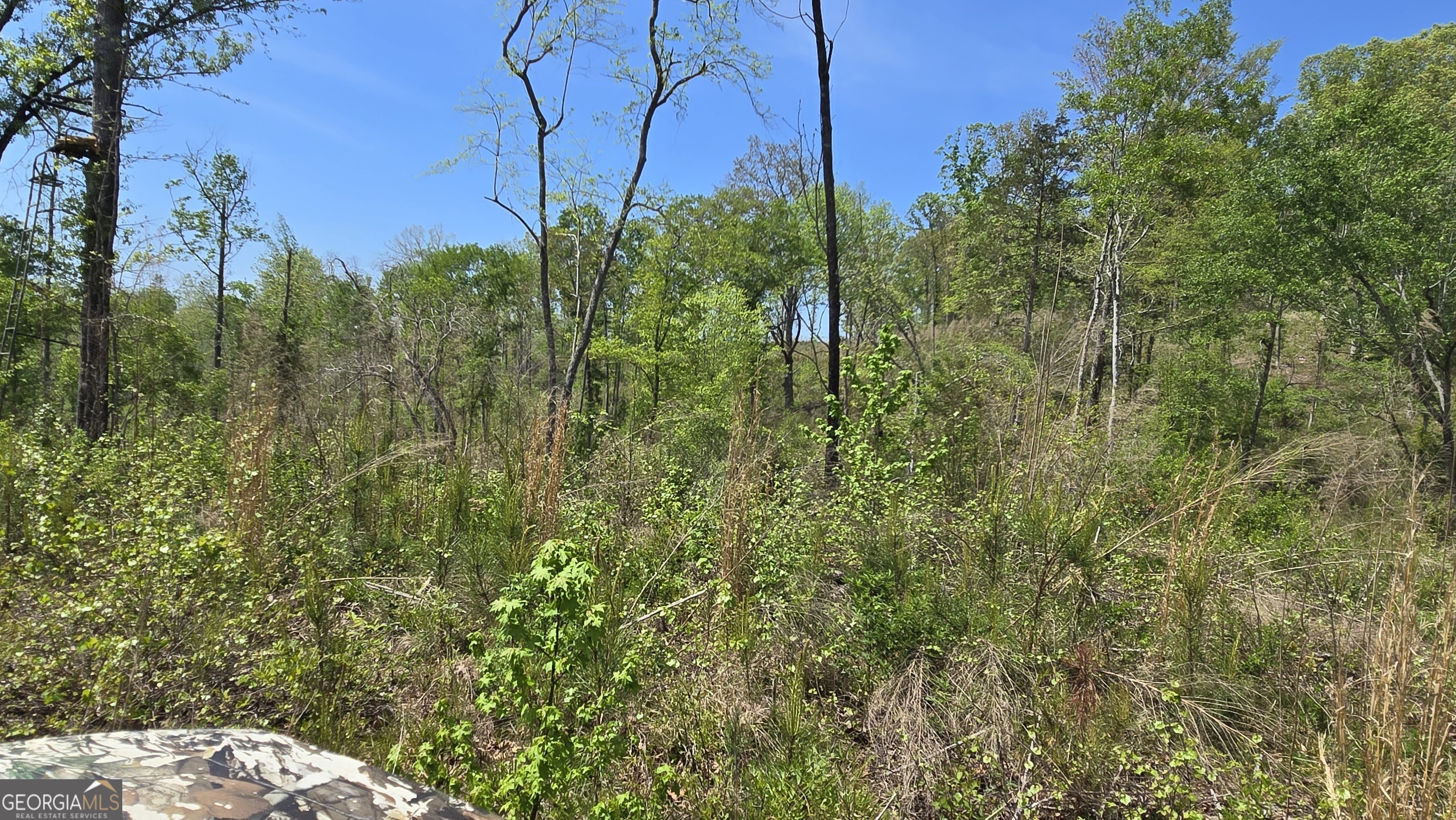 0 Sand Hill Road Property Photo 37