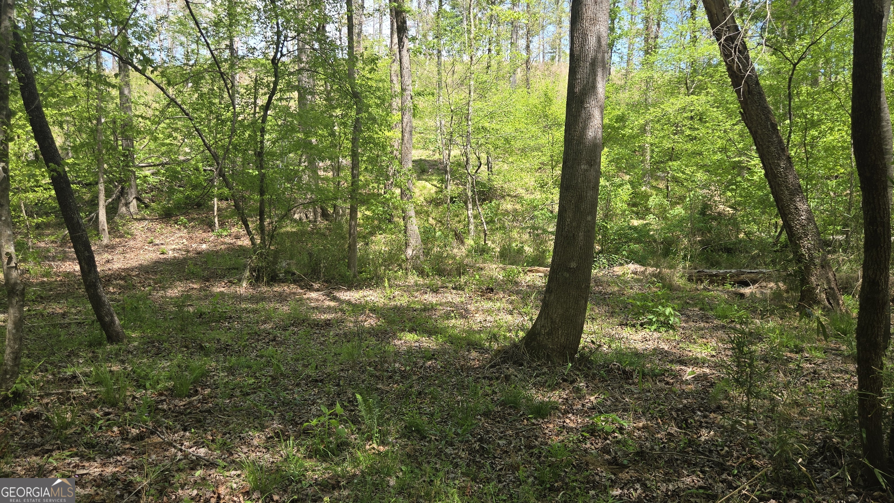 0 Sand Hill Road Property Photo 40