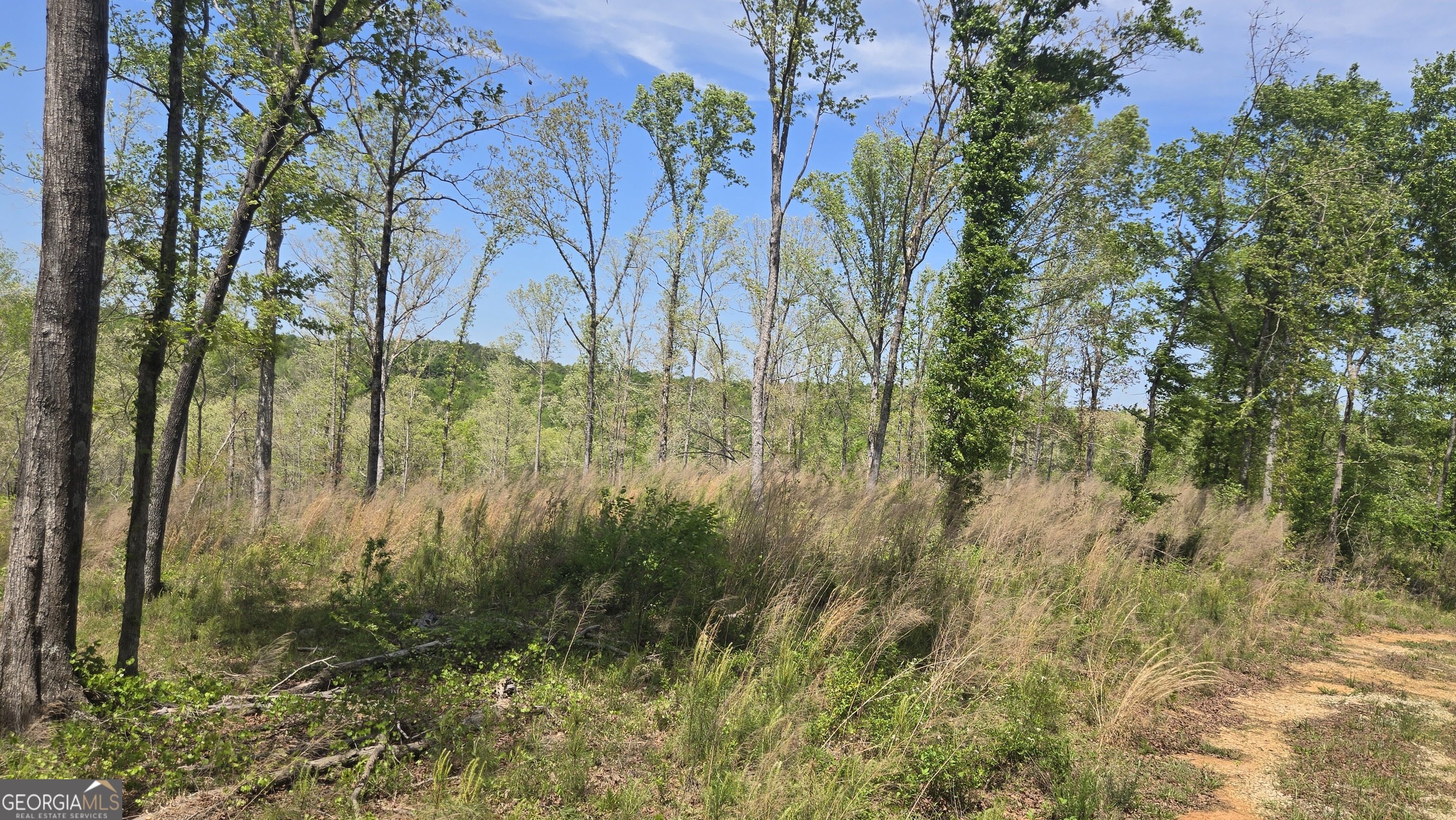 0 Sand Hill Road Property Photo 42