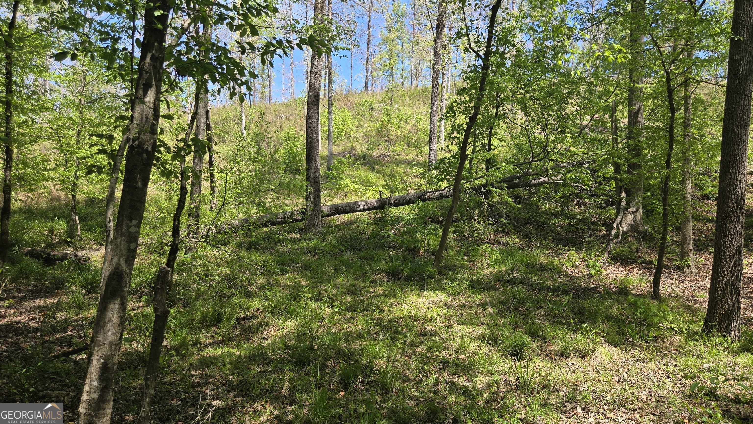 0 Sand Hill Road Property Photo 43