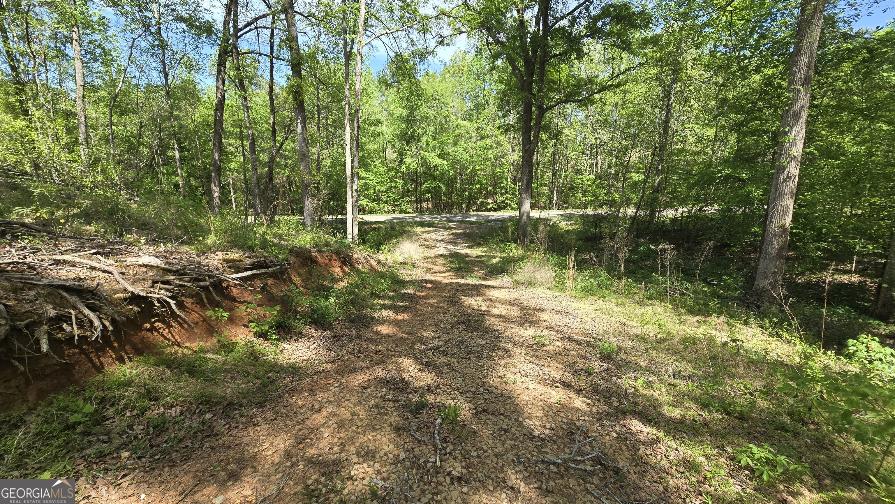 0 Sand Hill Road Property Photo 45