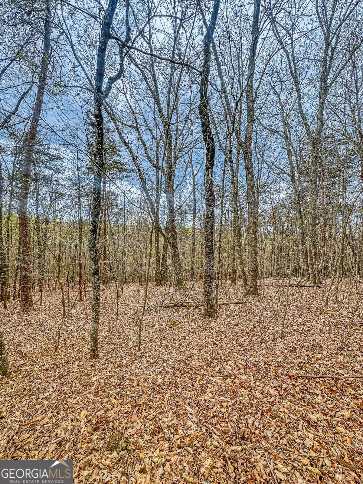 0 Green Meadows Property Photo 1