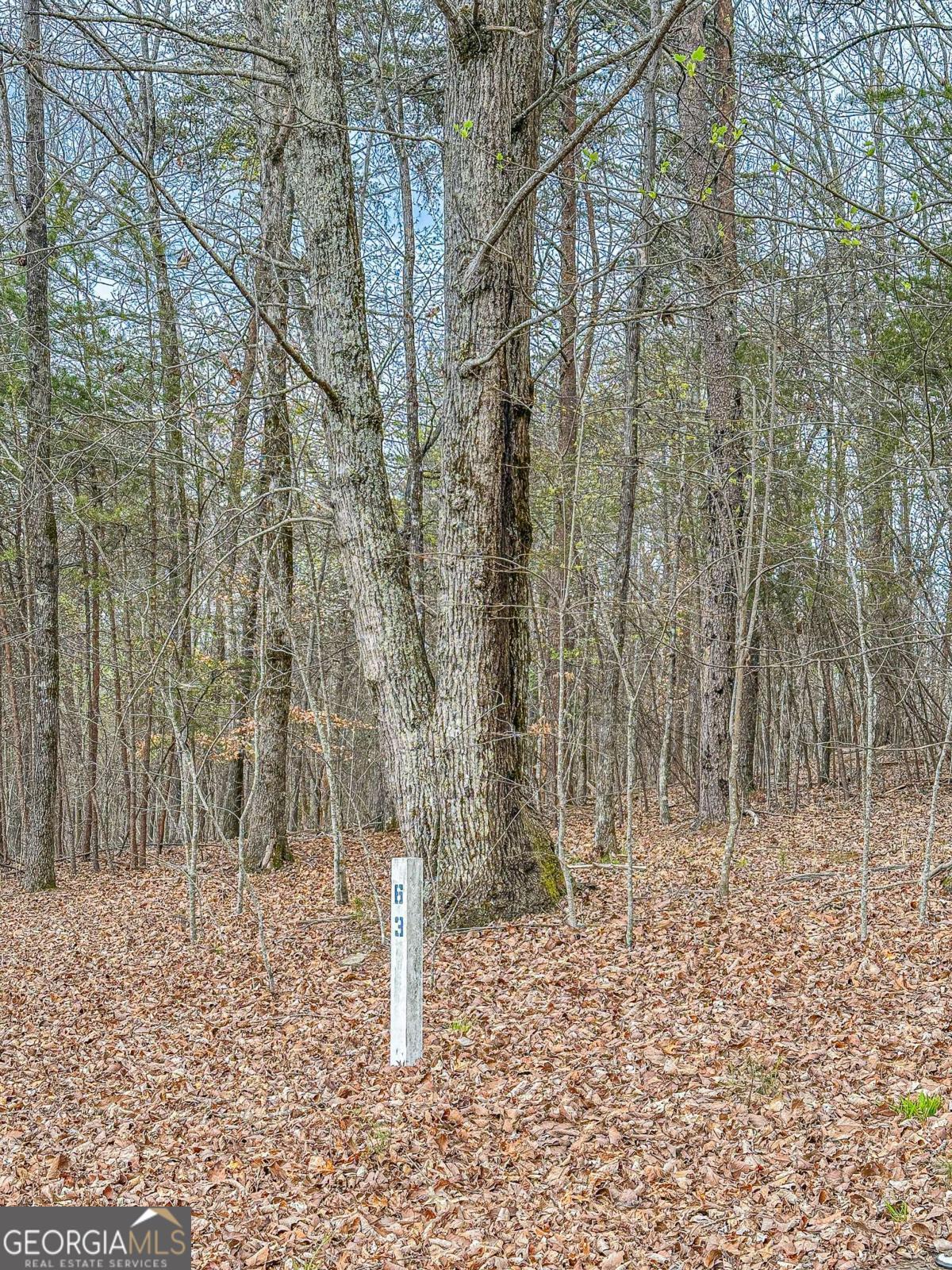 0 Green Meadows Property Photo 2