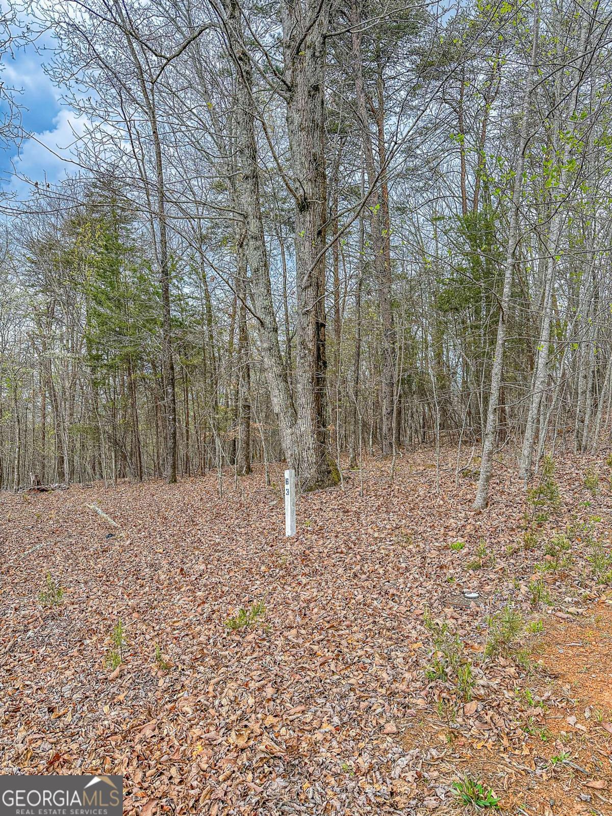 0 Green Meadows Property Photo 3