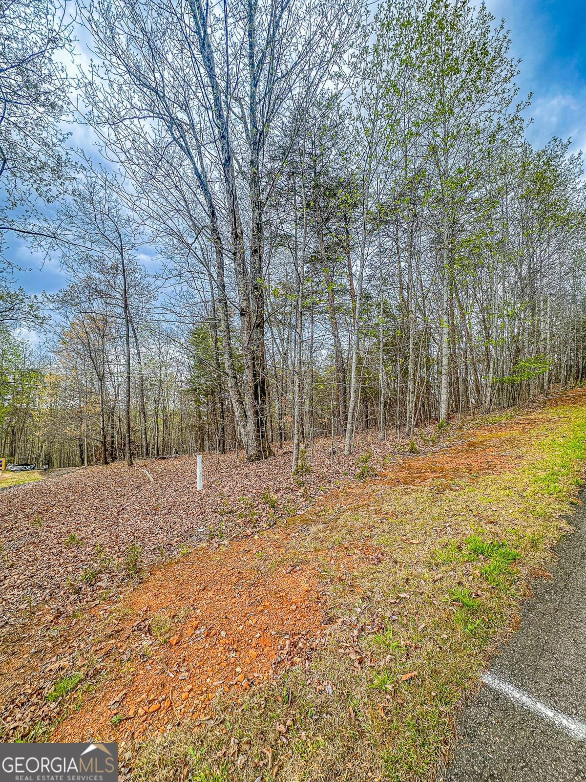 0 Green Meadows Property Photo 5